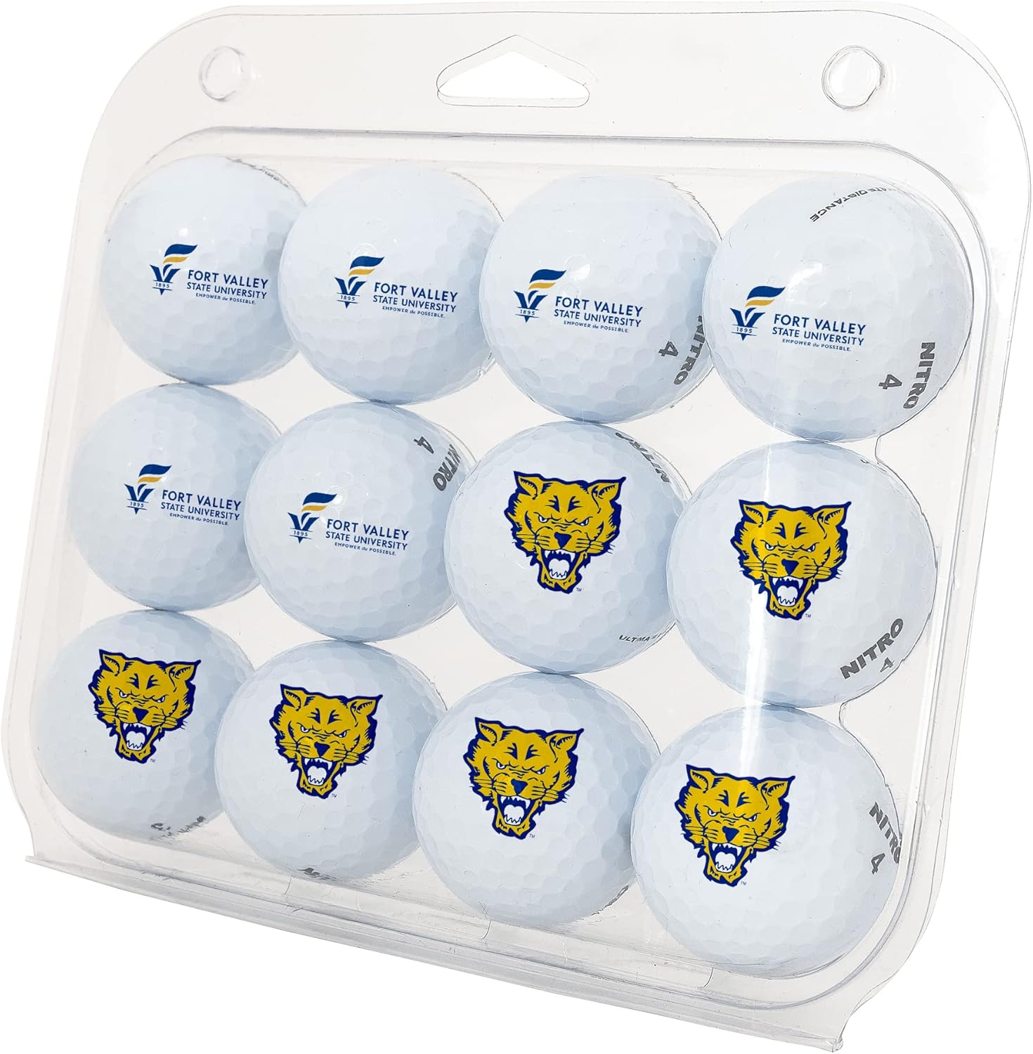 Desert Cactus Fort Valley State University Golf Balls 12 Pack – FVSU Wildcats Full Color Dozen – Officially Licensed Sport Team Accessory