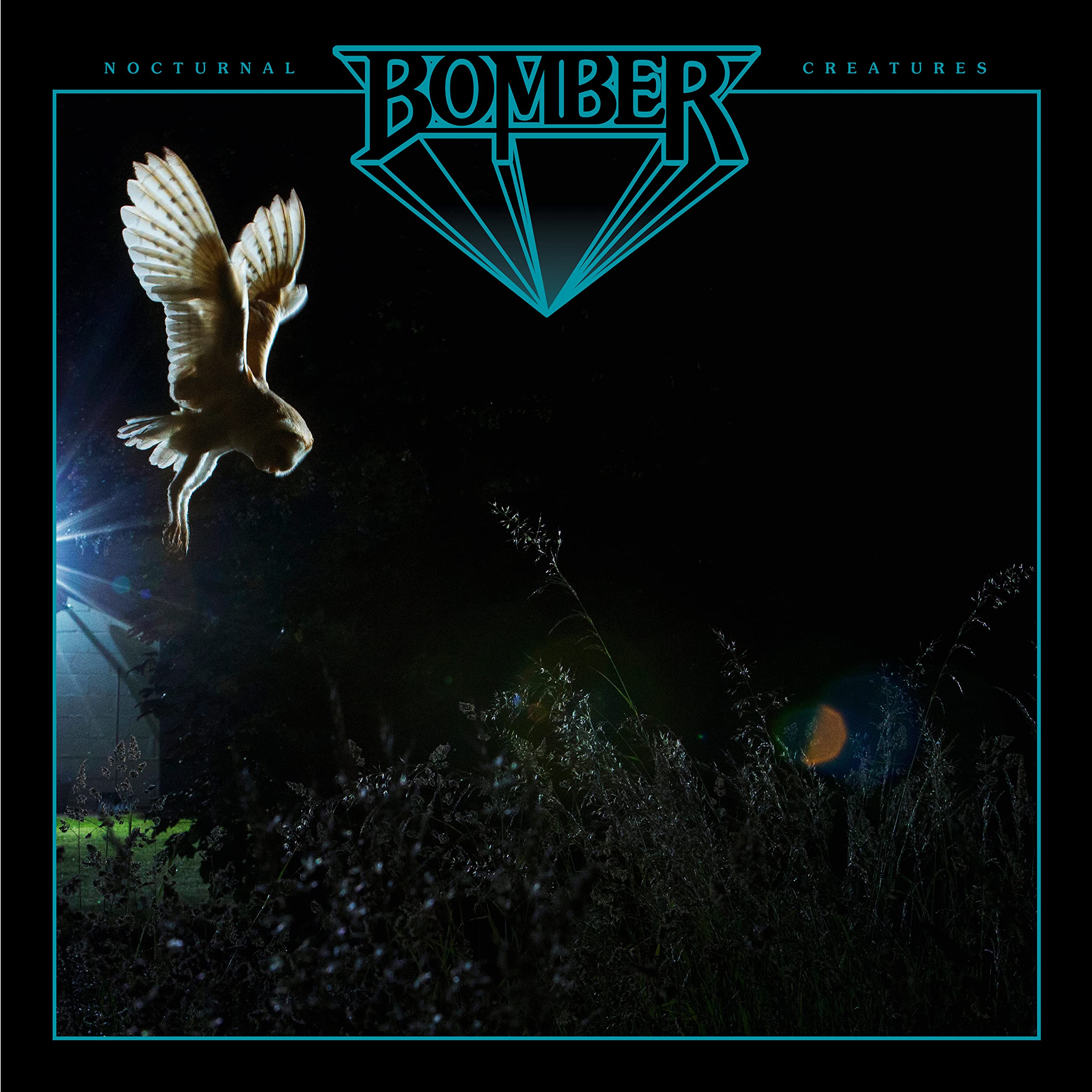 Nocturnal Creatures [VINYL]