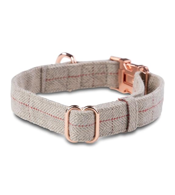 Foto 4 de 7 de Jack & Russell Tweed - Juego de correa para perros de 2 m + collar con mosquetón de oro rosa