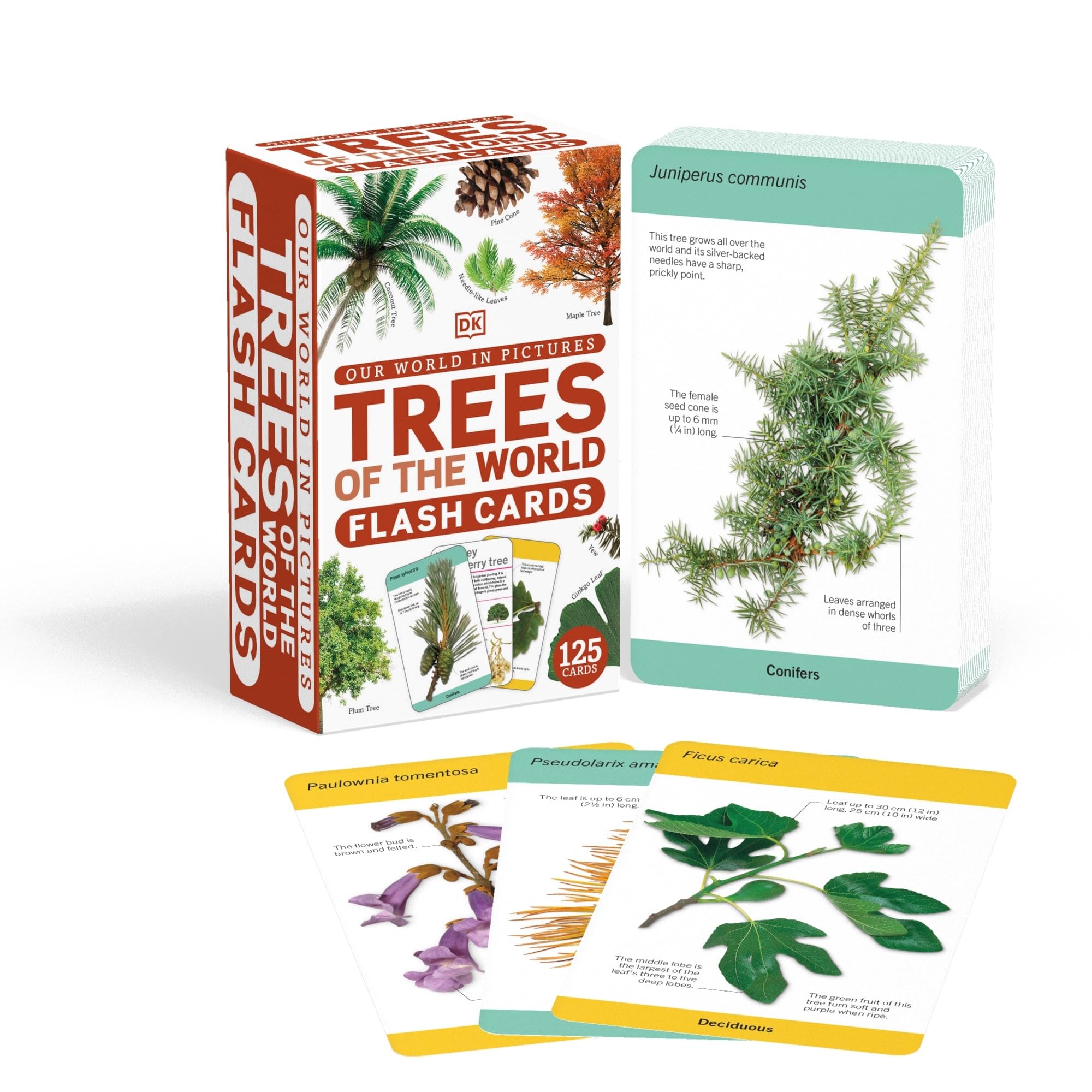 Our World in Pictures Trees of the World Flash Cards: With Adorable Animals to Touch and Discover!