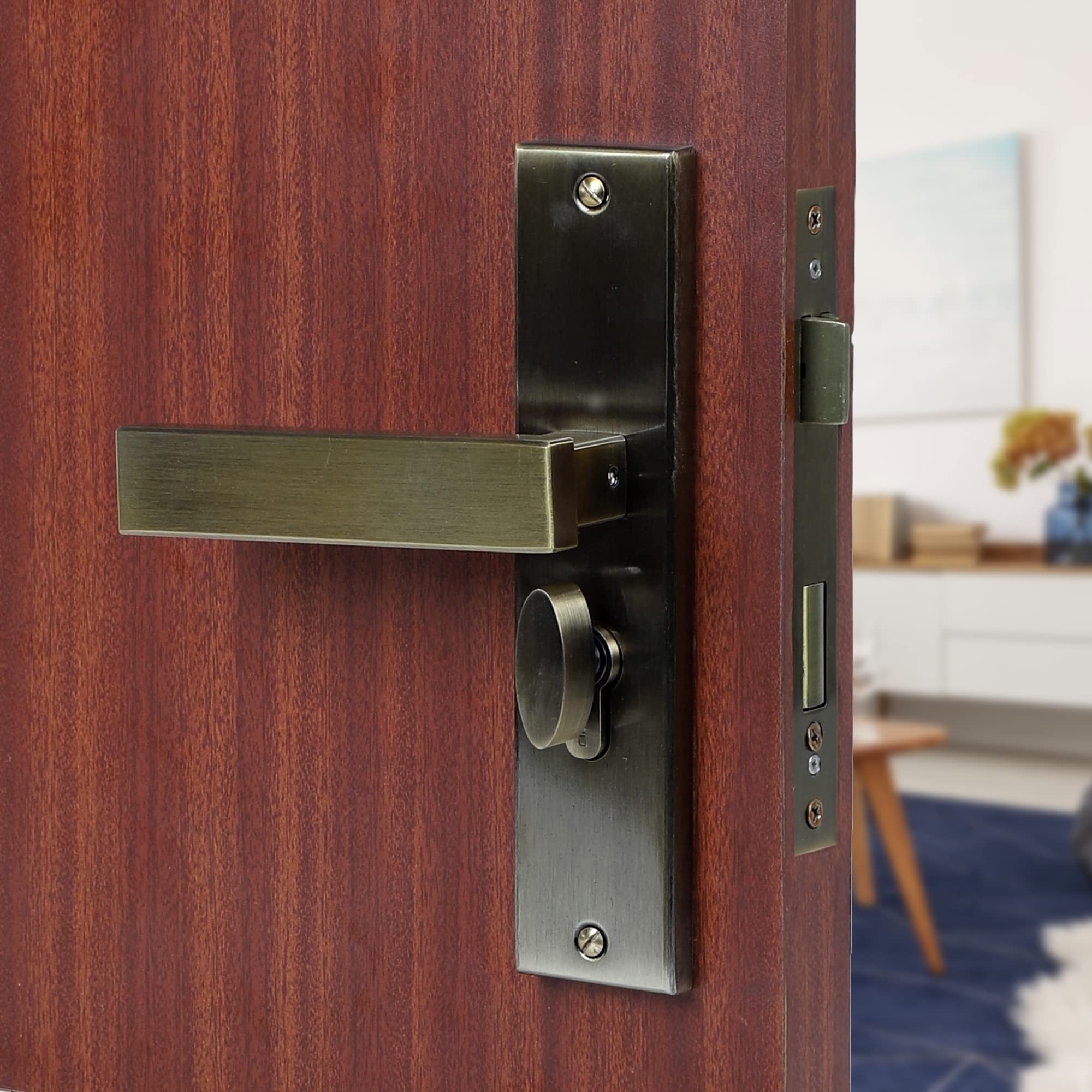 Blue Space Premium 8" Cylindrical Plate Mortise Door Lock Handle Set/Mortise Lock with Brass Lock Body and One Side Key 60mm Brass Cylinder Set with 3 Brass Computer Keys (LB1007, Antique)