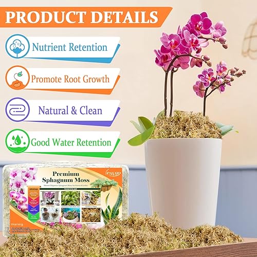 Miniatura 2 de Legigo Mezcla de musgo esfagnum de alta calidad de 5.3 onzas, plantas carnívoras naturales secas con musgo, esfagnum de fibra larga, tamaño mediano