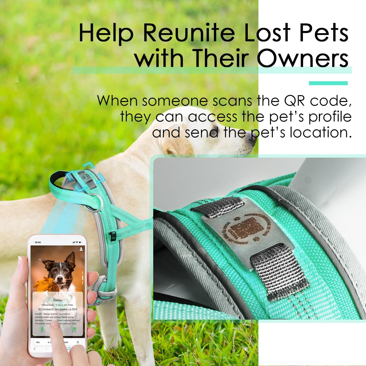 ADVENTUREMORE Small Dog No Pull Harness with QR Code Tag, Adjustable Reflective Vest, Front Clip Handle for Training Walking Teal