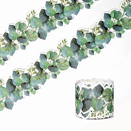 49Ft Eucalyptus Green Bulletin Board Borders Classroom Border Trim | Die-Cut Greenery Border Decor for Chalkboard, Desks, Photo Wall Display, Back to School Decor for Home, Classroom & Office