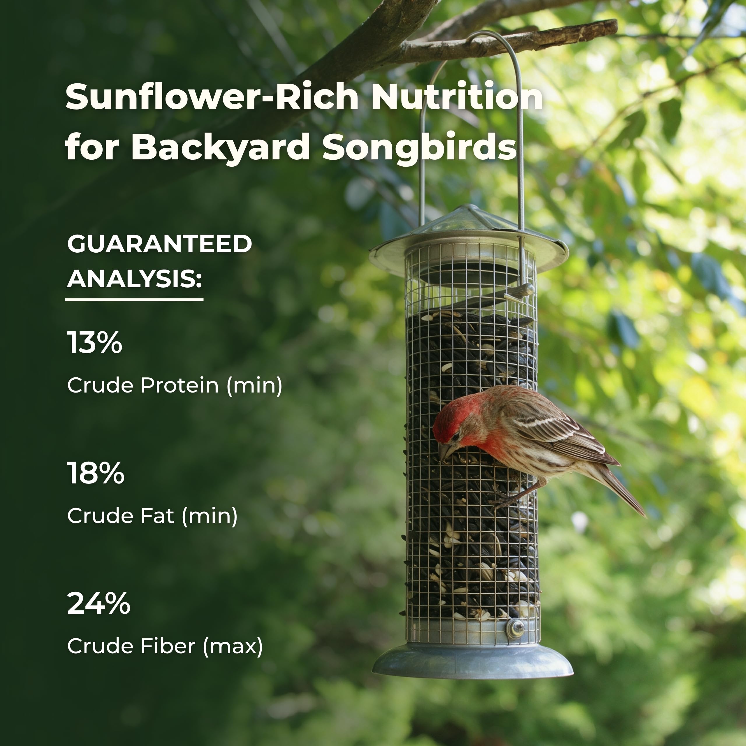 Freebird Pokarm dla dzikich ptaków – mieszanka premium z czarnym olejem słonecznikowym, słonecznikiem w paski, krokoszem barwierskim, kawałkami orzeszków ziemnych, białego prosa, czerwonego prosa dla