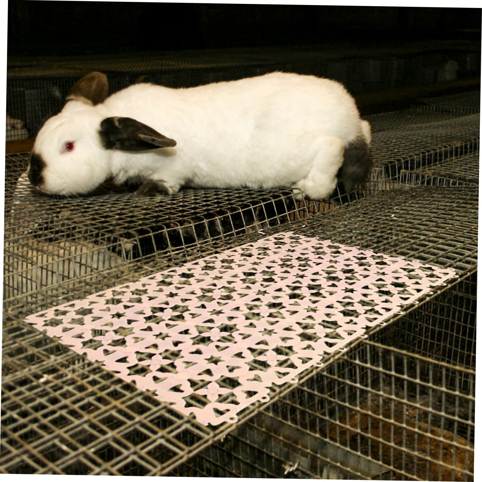 10pezzi Lettiera Angolare per Piccoli Animali Tappetino per Gabbia per Conigli Furetti e Altre Piccole Creature Design Separato per Rifiuti Facil Installare Pulire