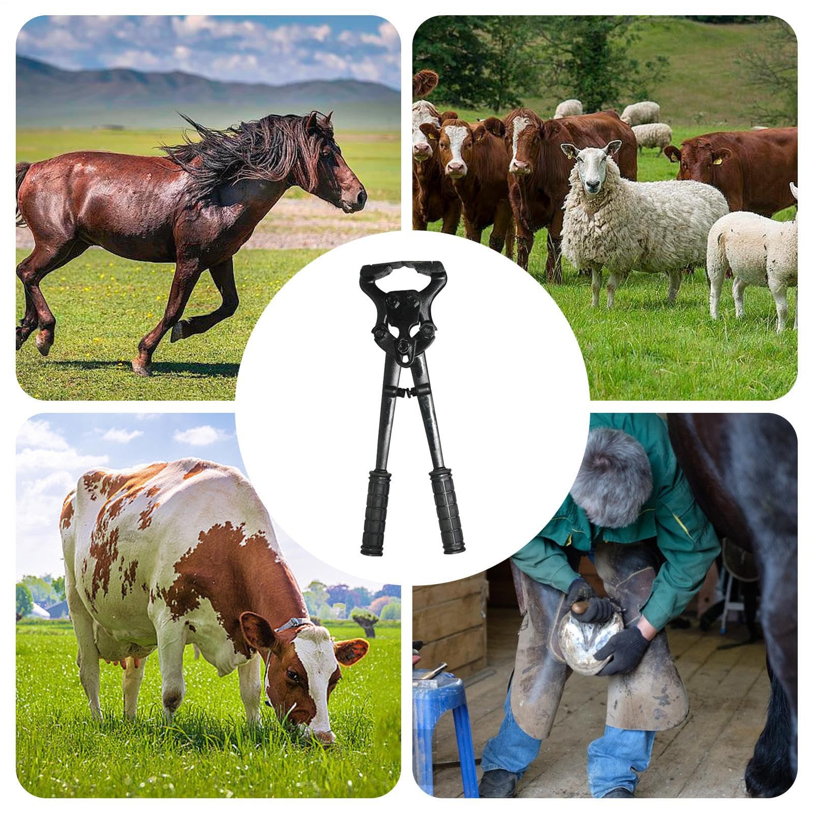 Alicates Para Cascos De Caballo Herramientas Y Dispositivos De Reparación | Tenazas De Acero Al Carbono Para Cabras Ovejas En Caballos Ganado Bovino Alpacas Y Ovejas