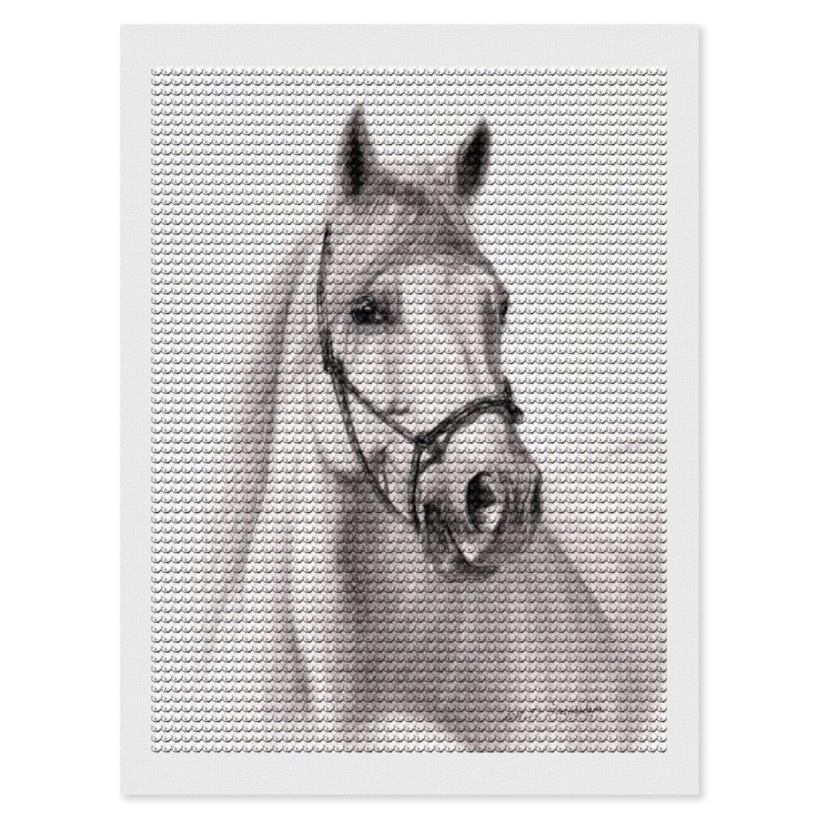 Junmoney Shadow Diamond Art Kit 12"x16", Neat Printed Canvas, Finish and Display, Relaxing DIY Hobby, Living Room Decor