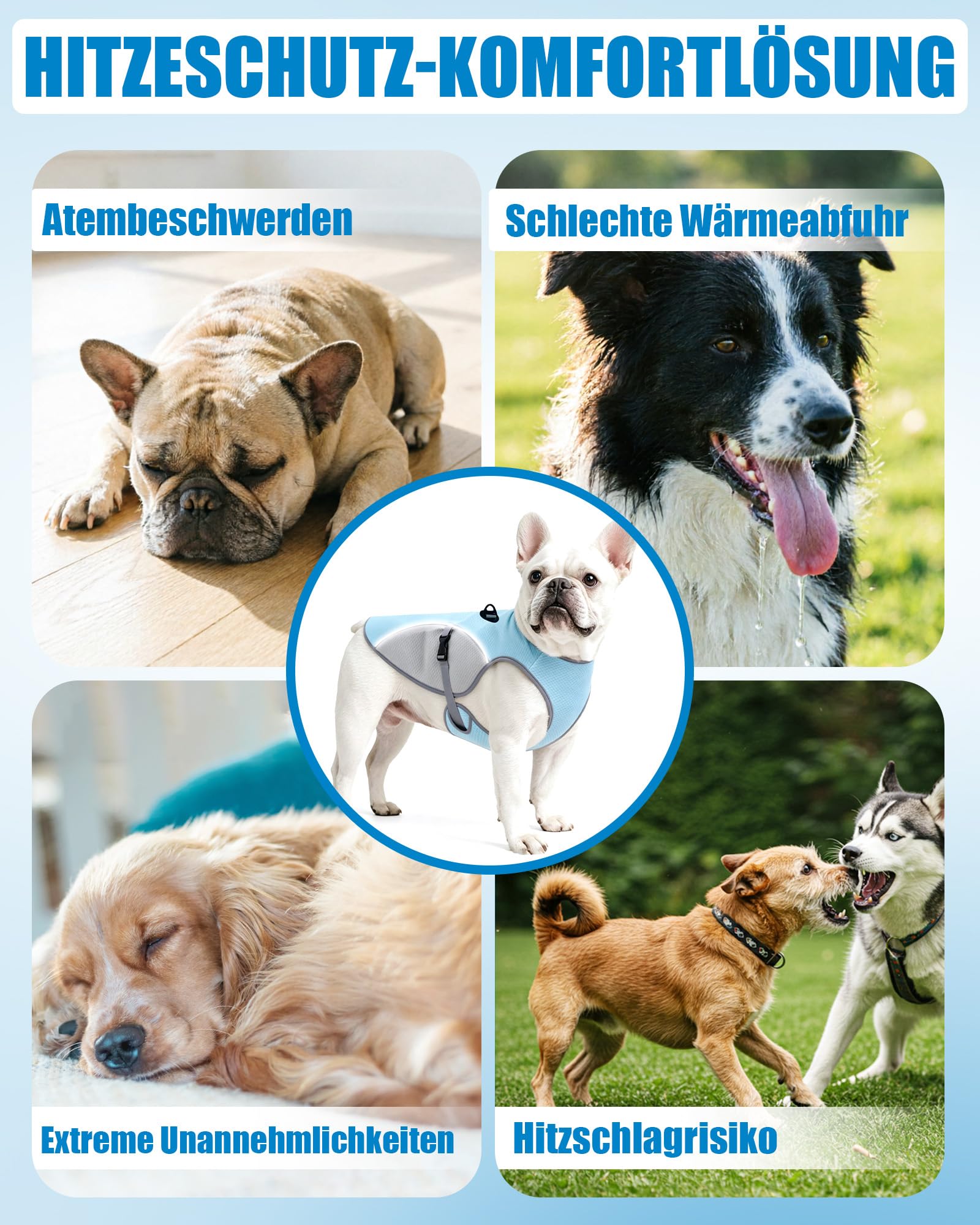 Kühlweste Hund mit 2 m Leine, Hunde Kühlweste für Kleine und Große Hunde, Reflektierende und Atmungsaktive Kühljacke für Sommer, Outdoor und Training