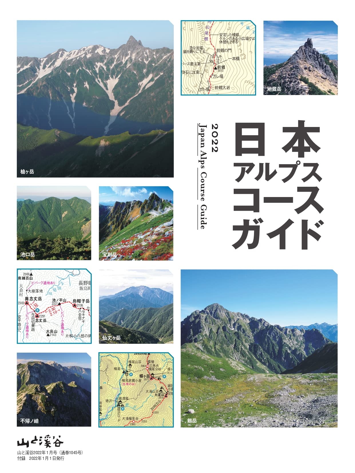 ヴァリス.アルプス モンブラン山群 特選100コース 山と渓谷