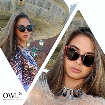 OWL 12 Pack Cat Eye Sunglasses for Women, UV Protected Retro Sunglasses Bulk, Beautiful Mix Patterns Cateye Shades for Women