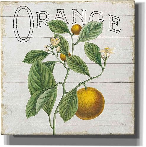 Epic Graffiti Sue Schlabach - Lienzo decorativo para pared, diseño "Classic Citrus VI Shiplap Sq", 12 x 12 pulgadas