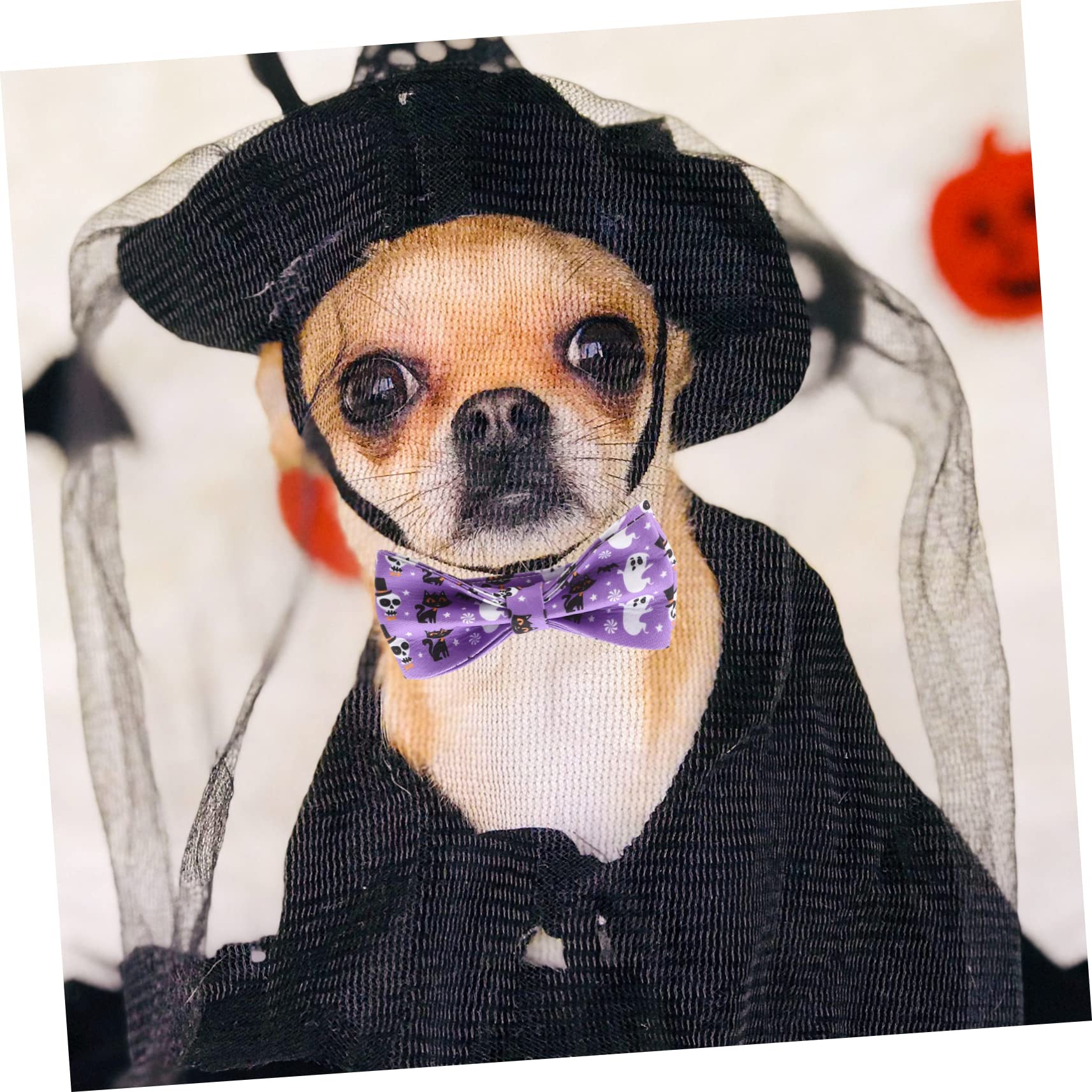 BESPORTBLE 4stücke Decoratives Katzenhalsband Mit Abnehmbarem Schleifen-Design Für Halloween Verstellbares Süßes Und Sicheres Halsband Für Haustiere