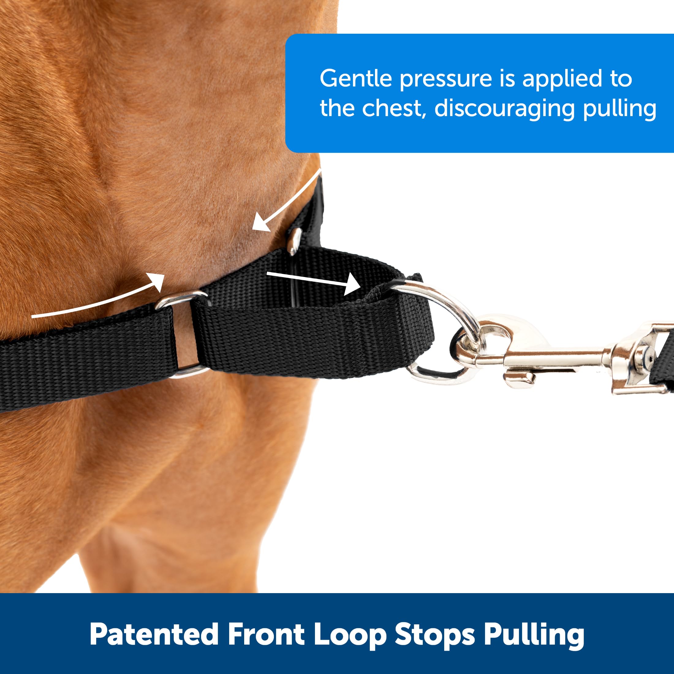 PetSafe Harnais Easy Walk avec Boucle Anti-Traction Et Laisse De 1,8 M, Promenade Confortable pour Vous Et Lui - 4 Points De RÃglage â€“ RÃsistant, Facile Ã€ Mettre Et Enlever â€“ Noir, Taille L