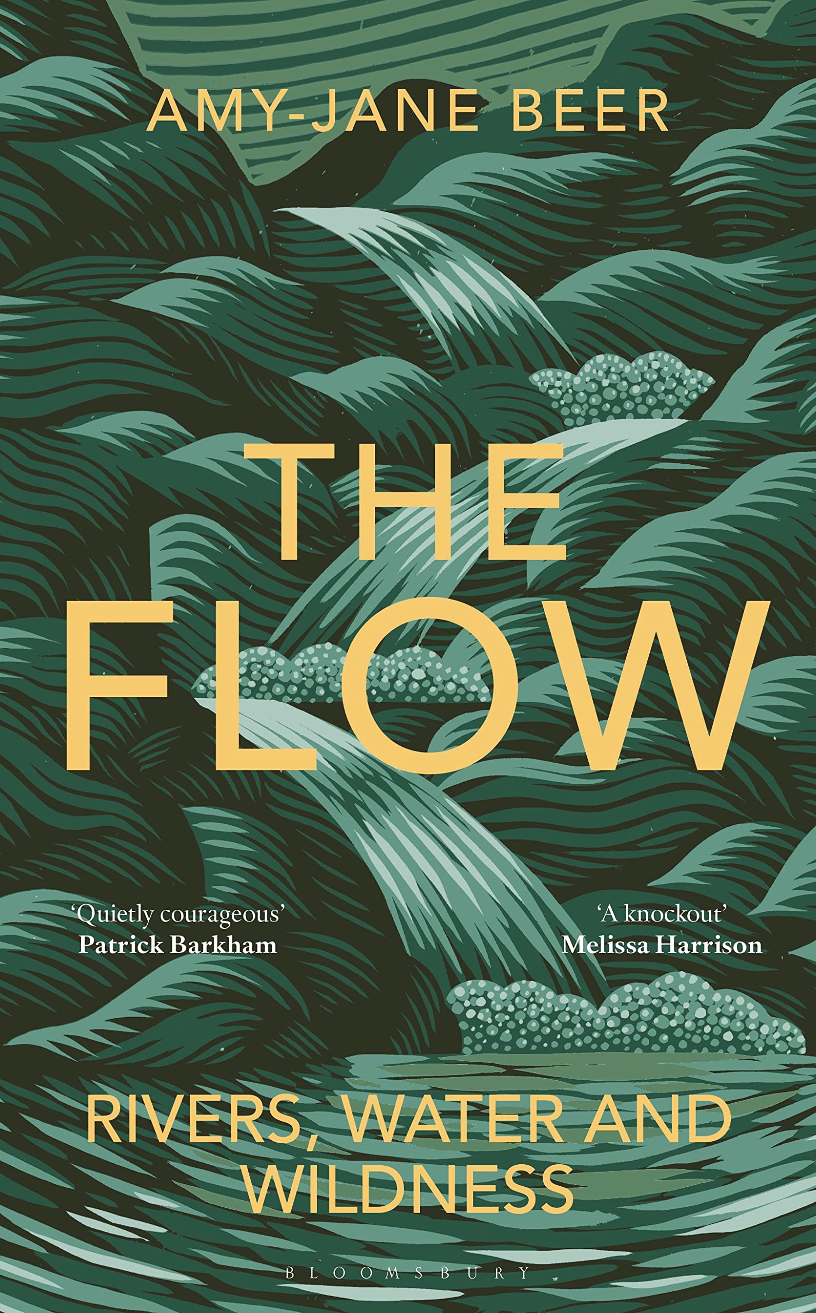 Buy The Flow: Rivers, Water and Wildness — BookShops.in