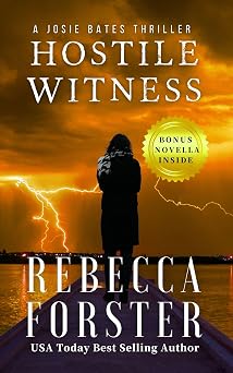 81vyUXftTcL._SY342_ The Courtroom Kings: Why These Legal Thriller Authors Define the Genre
