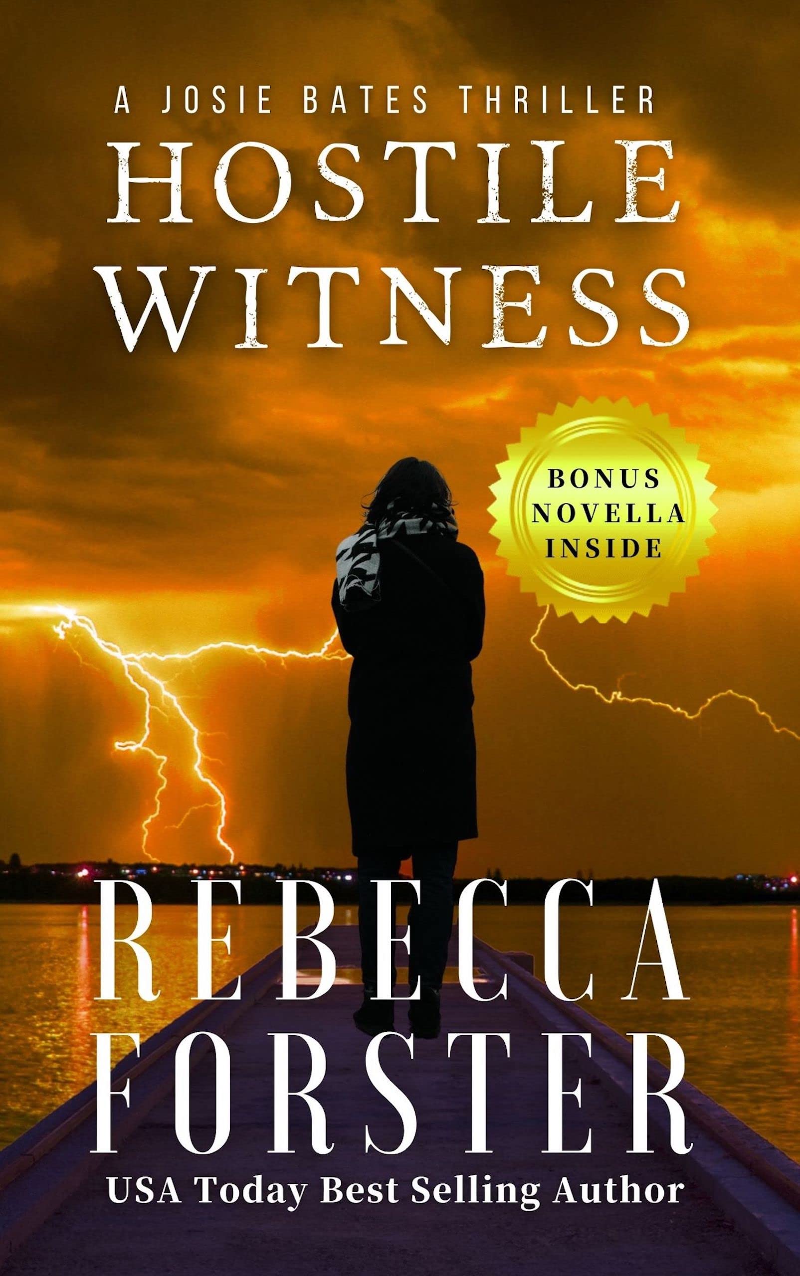 Hostile Witness (The Witness Series Book 1)