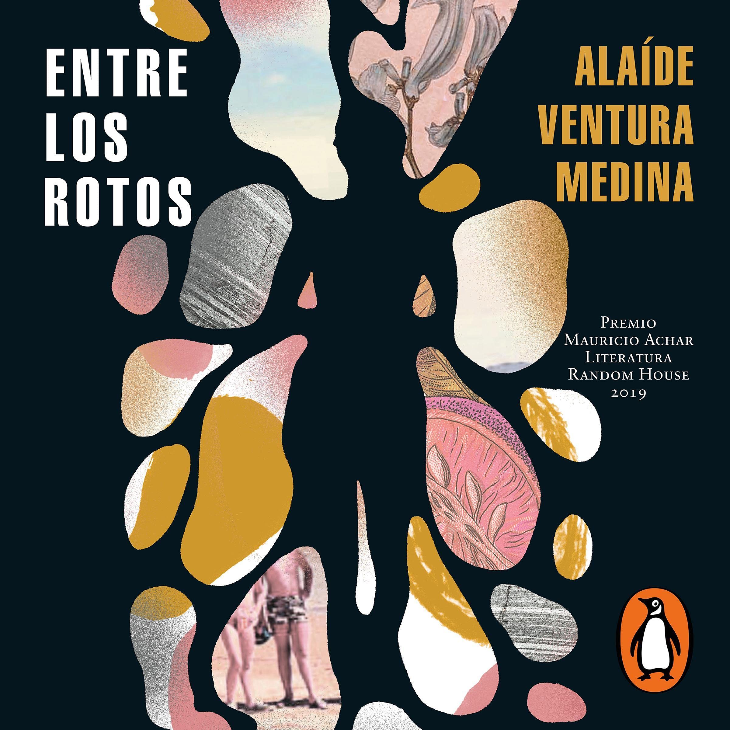 Cover art for Entre los rotos [Among the Broken]