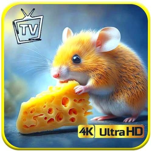 Cat TV – Hamster Fun & Entertainment for Cats Screensaver For Tablets And Fire TV