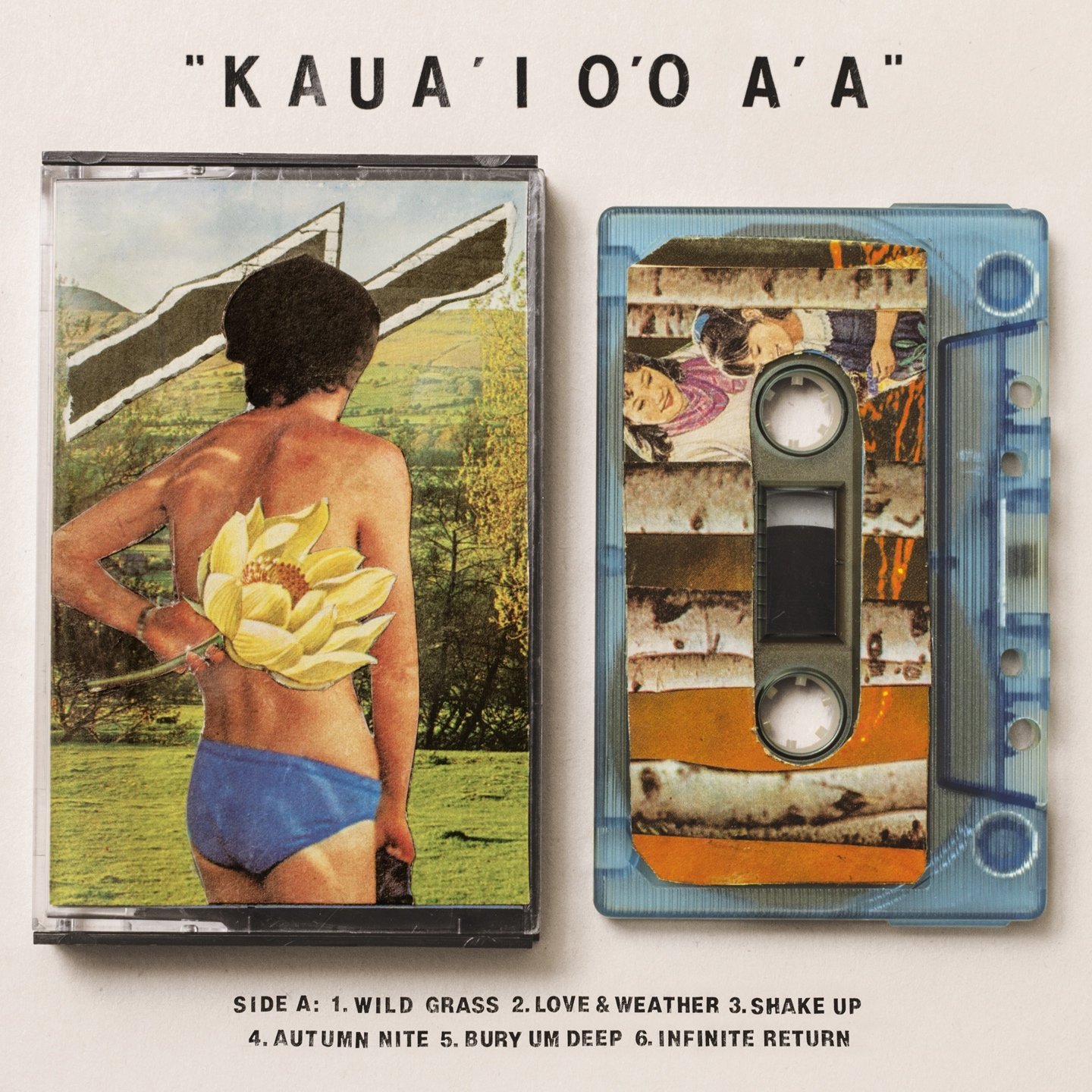 Gentle Friendly Kauai Oo Aa LP New 600116122216