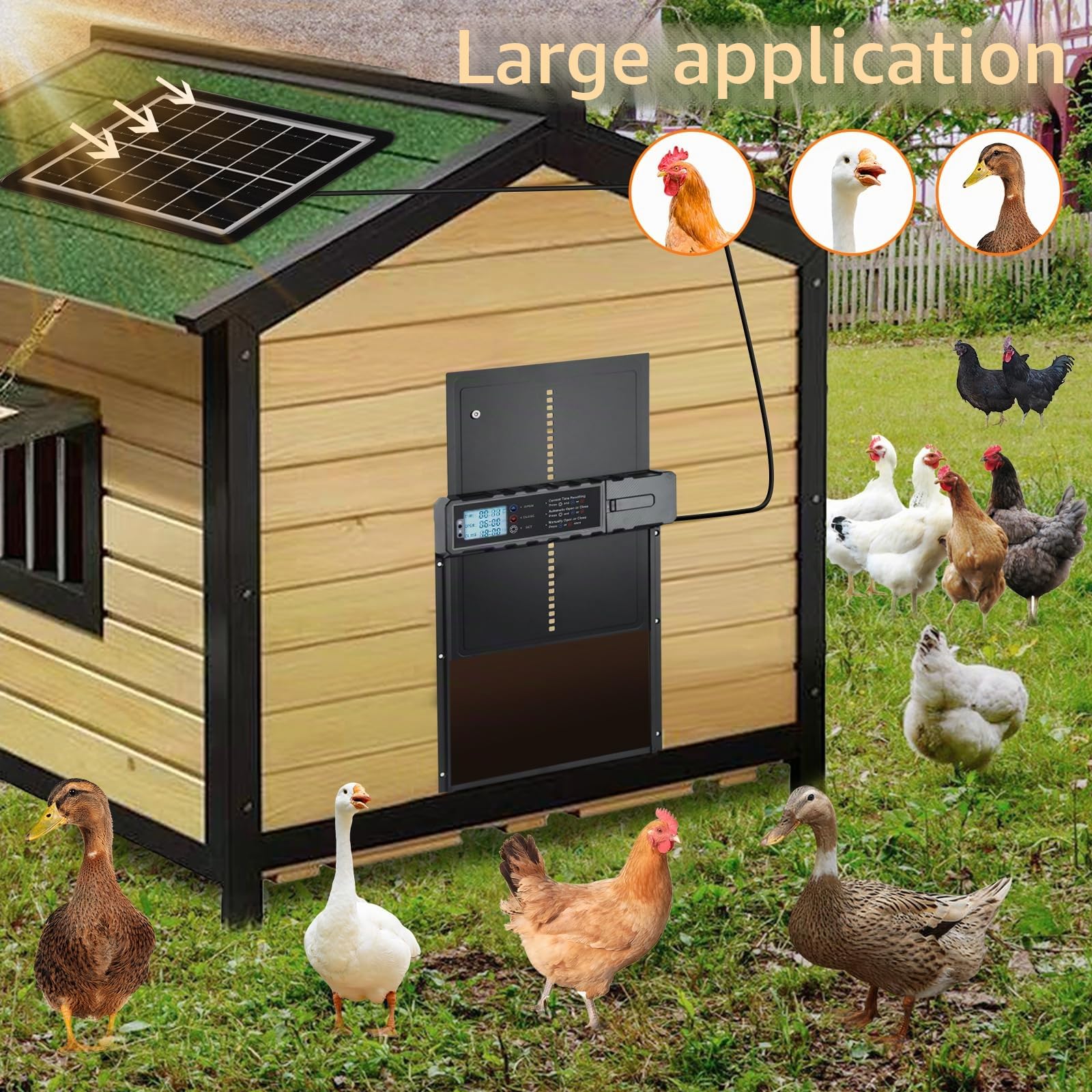 Grande porte automatique avec écran LCD, porte pour animaux de compagnie avec capteur solaire, porte automatique pour poulailler avec plusieurs modes de contrôle