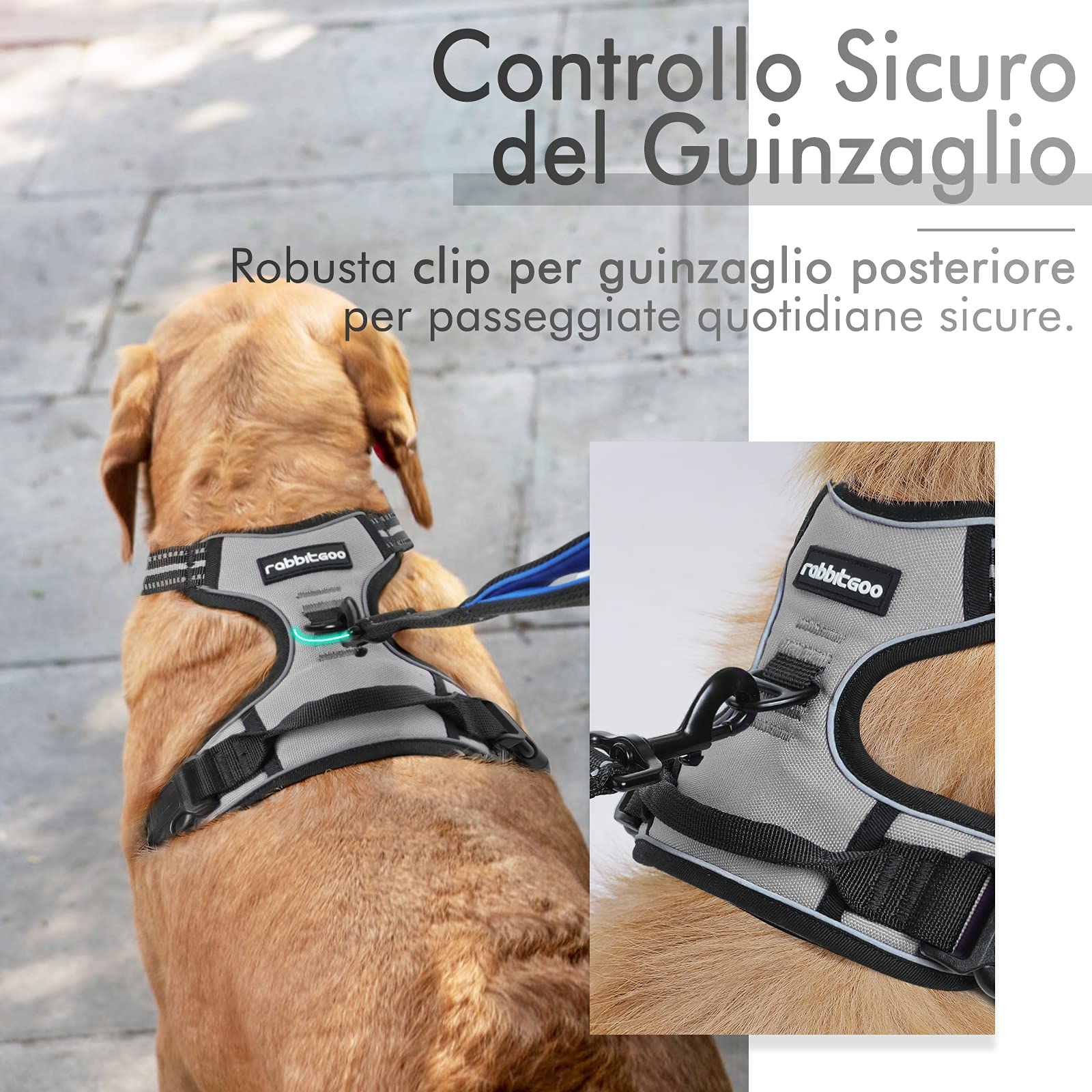 rabbitgoo Pettorina Cane Taglia Grande, Pettorina Cane ad h Regolabile con 2 Ganci in Metallo, Pettorina per Cani Anti Tiro Riflettente, Imbracatura Cani Traspirante per Addestramento(XL, Grigio)
