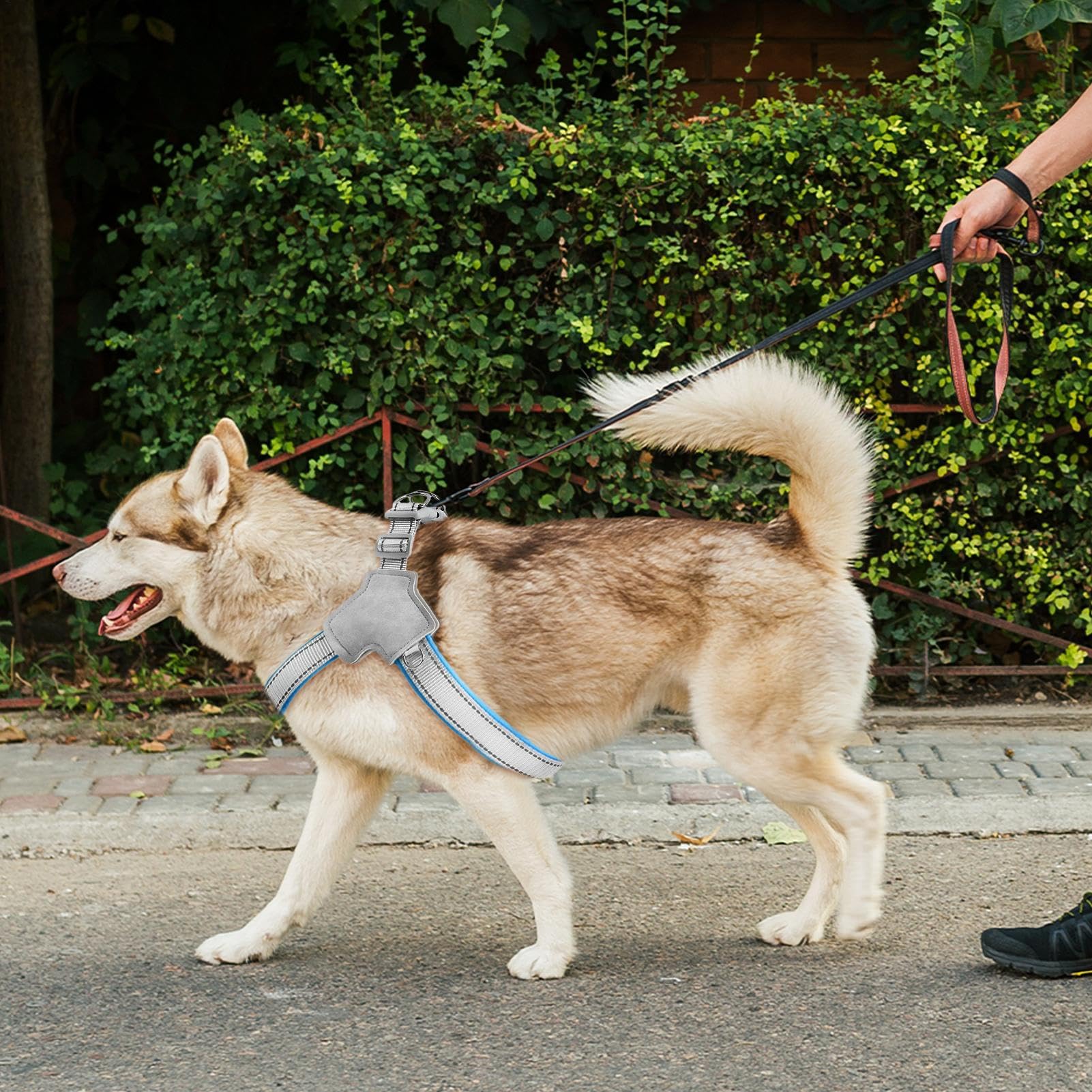 Imbracatura riflettente per animali domestici gilet per passeggiate per cani - Imbracatura per cani in Y senza di clip anteriore riflettente - Accessori per l'allenamento a piedi per cuccioli