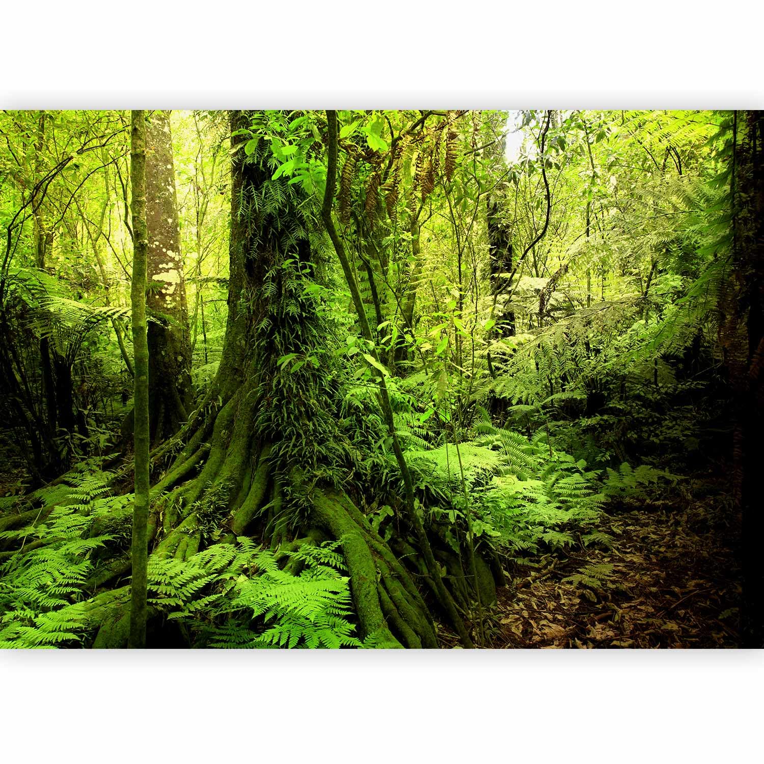 murando Photo Wallpaper Forest 100x70 cm Non-Woven Premium Art Print Fleece — image 1