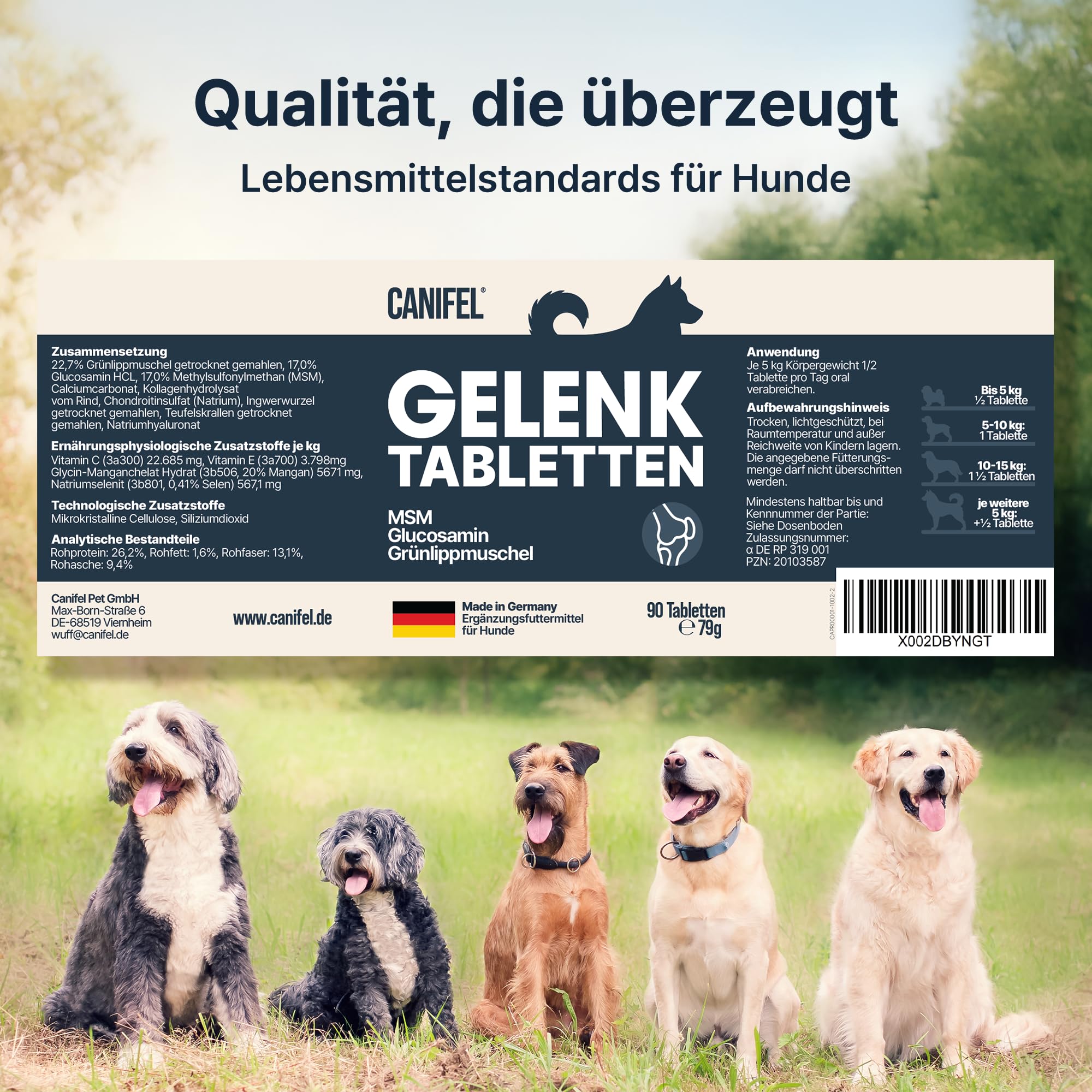 Gelenktabletten Hund, Apotheker Rezeptur, 90 Stück reicht bis zu 6 Monate, von Apothekern entwickelt & Tierärzten geprüft, mit Grünlippmuschel hochdosiert, Glucosamin, MSM, Chondroitin, Teufelskralle