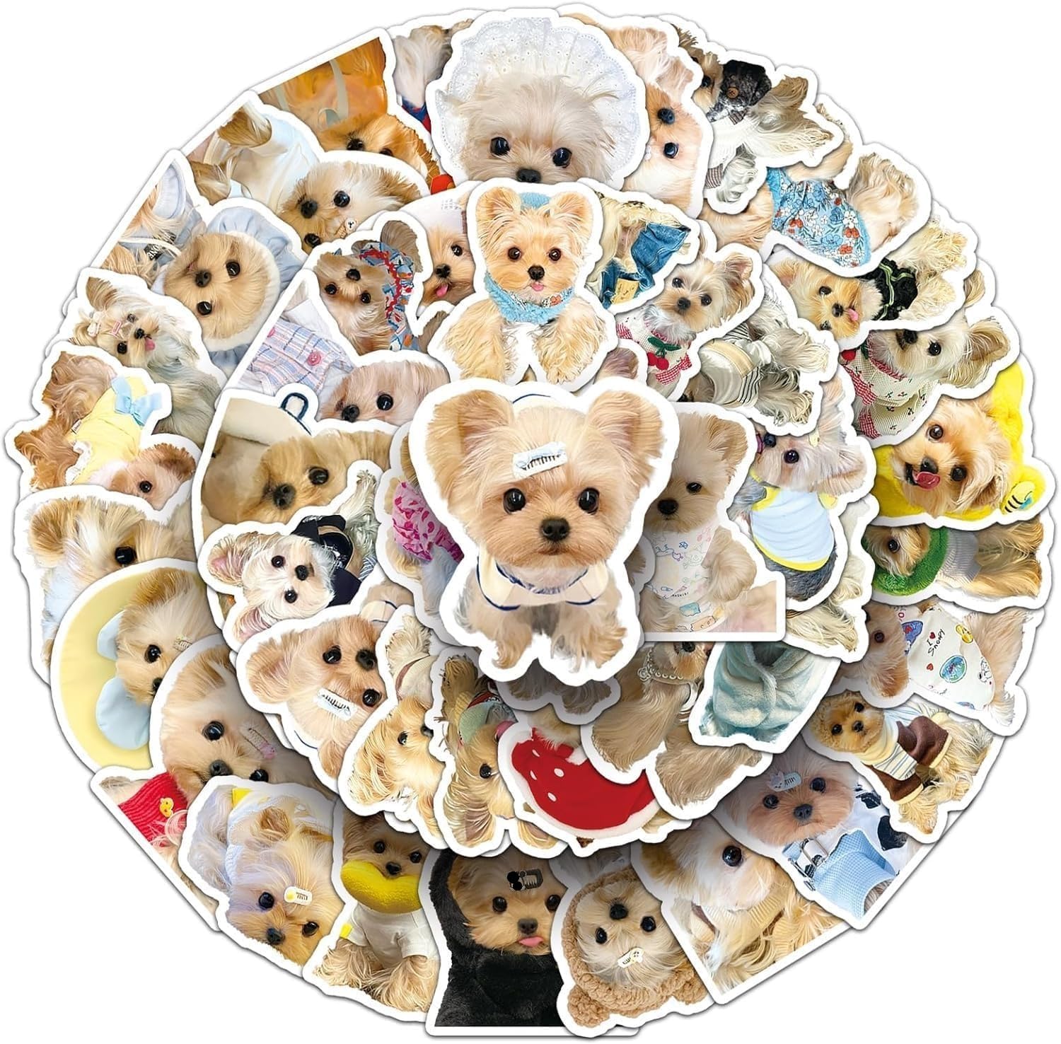 Amazon.co.jp: ヨーキー ヨークシャー・テリア 動く宝石 犬 番犬 ワン