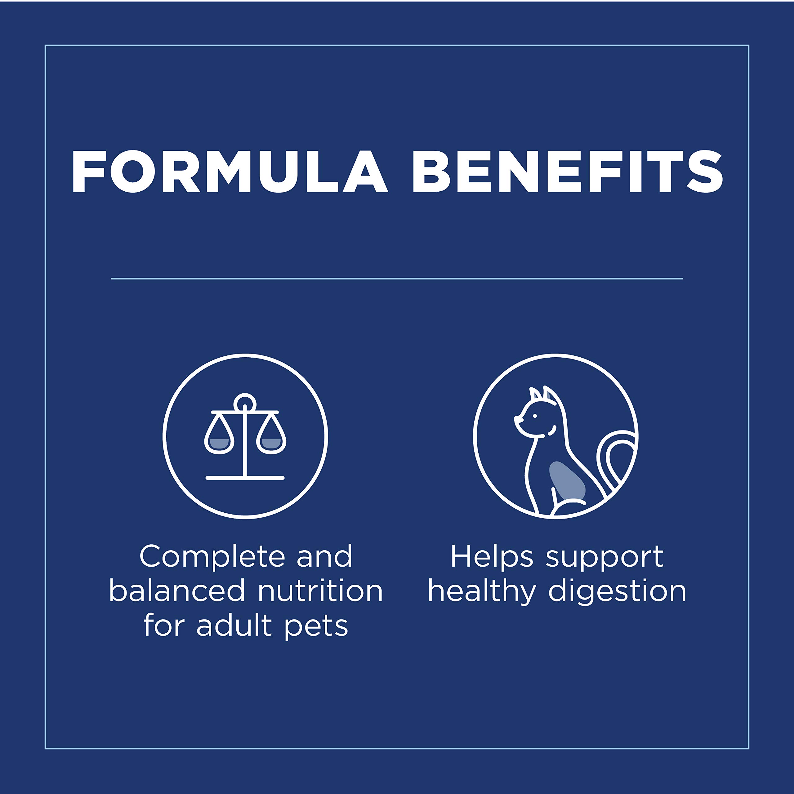 Buy Natural Balance Fat Cats Chicken Meal, Salmon Meal, Garbanzo Beans