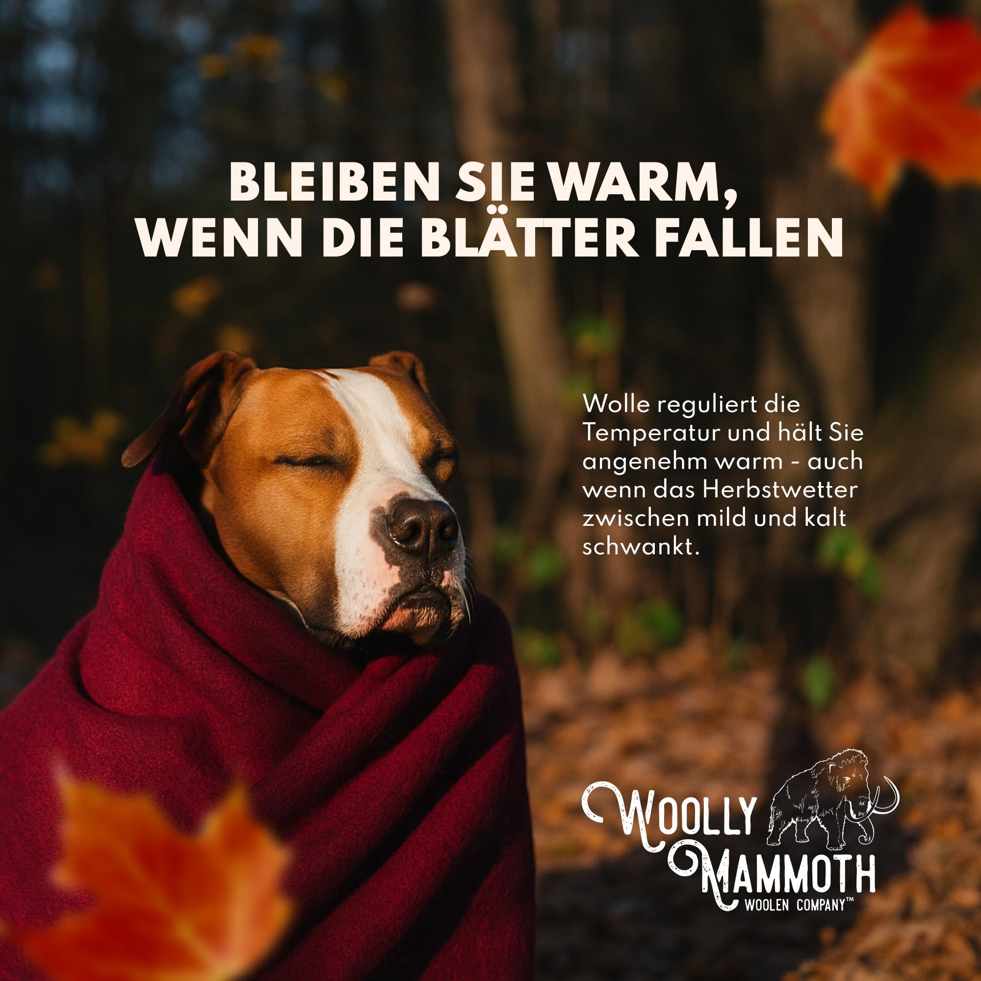 Wolly Mammoth 80% Wolle Decke - Sofa Kuscheldecke 167 x 230 cm Dicke Wärmedecke, Flauschige Wohndecke, Militärdecke, Wolldecke, Wärmende, Schwere Couchdecke, Draußen, Camping Rettungsdecke, Orange