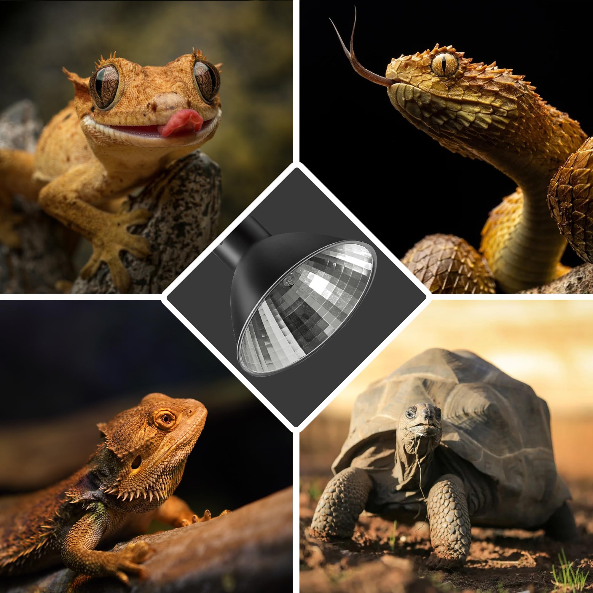 Briignite Reptile Heat Lamp 50W G9 Halogen Heat Bulb & Dome Reptile Light Fixture, Aluminum Reflector, UVA Basking Light for Reptiles, Dimmable Heat Lamp for Chicken Turtle Snake Gecko Lizard - image 7