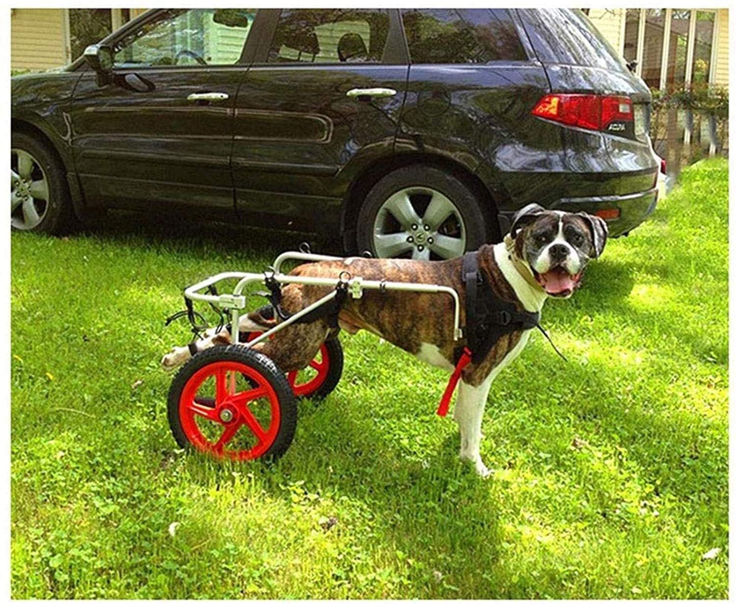 Verstellbarer Hunderollstuhl, Hinterbeinrehabilitation, unterstütztes Gehauto, Haustier-Hinterbein-Trainingsauto für behinderte kleine Hunde, Hündchen, Welpen, 2 Räder, geeignet für alle großen