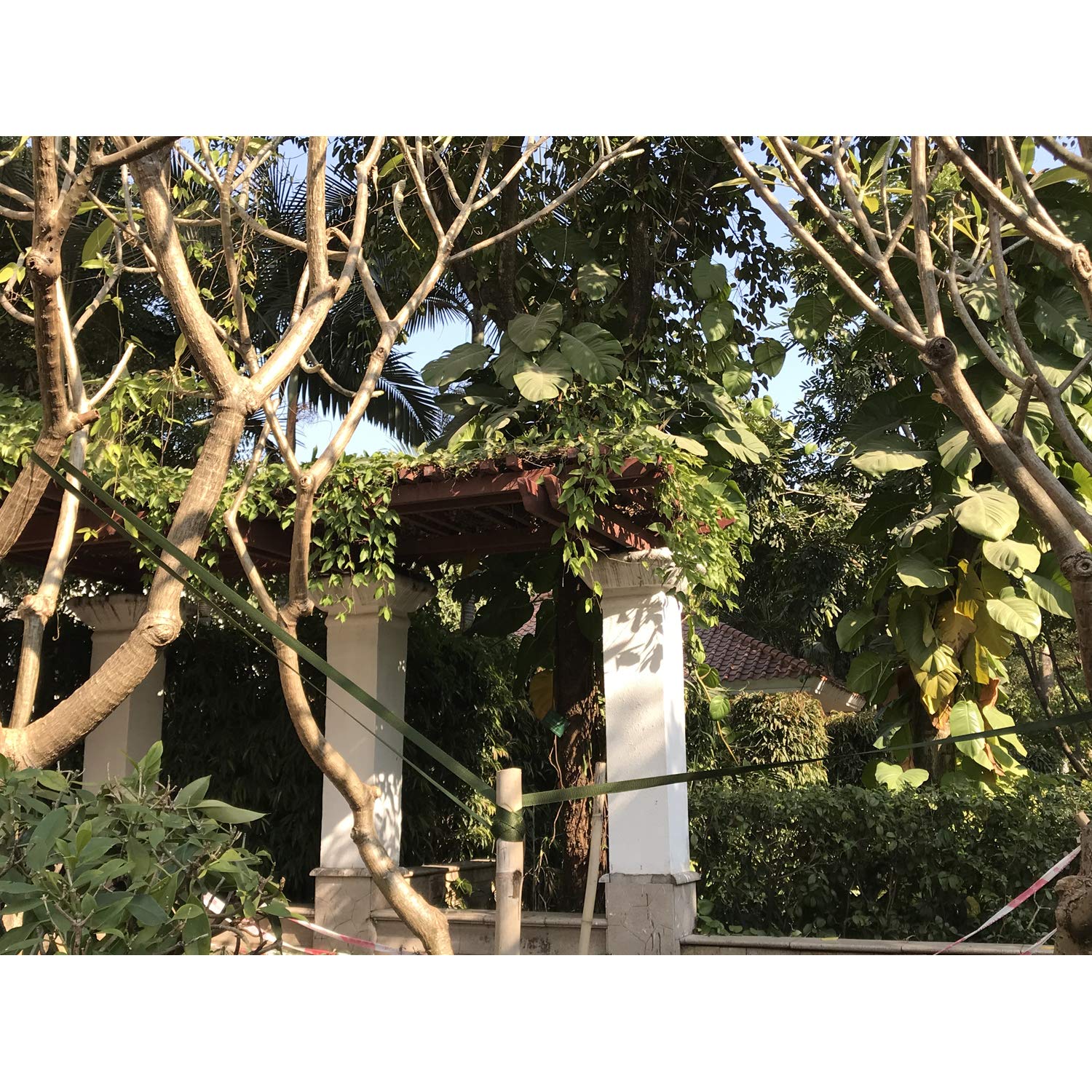 Correa de sujeción para árbol de 150 pies, 2,5 cm, material verde para estacar y tensar, corbata de jardín, cuerda verde para uso en exteriores, suministros de enderezamiento