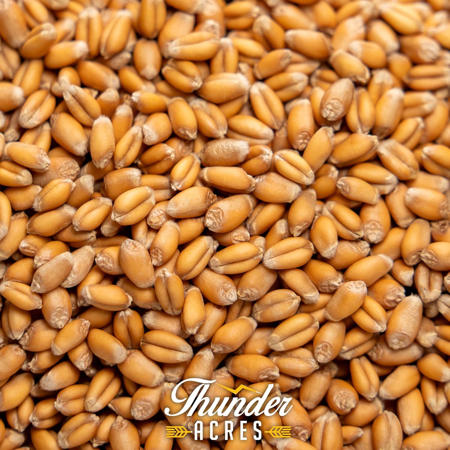 Thunder Acres Organic Soft Red Winter Wheat Seed (10, Pounds)