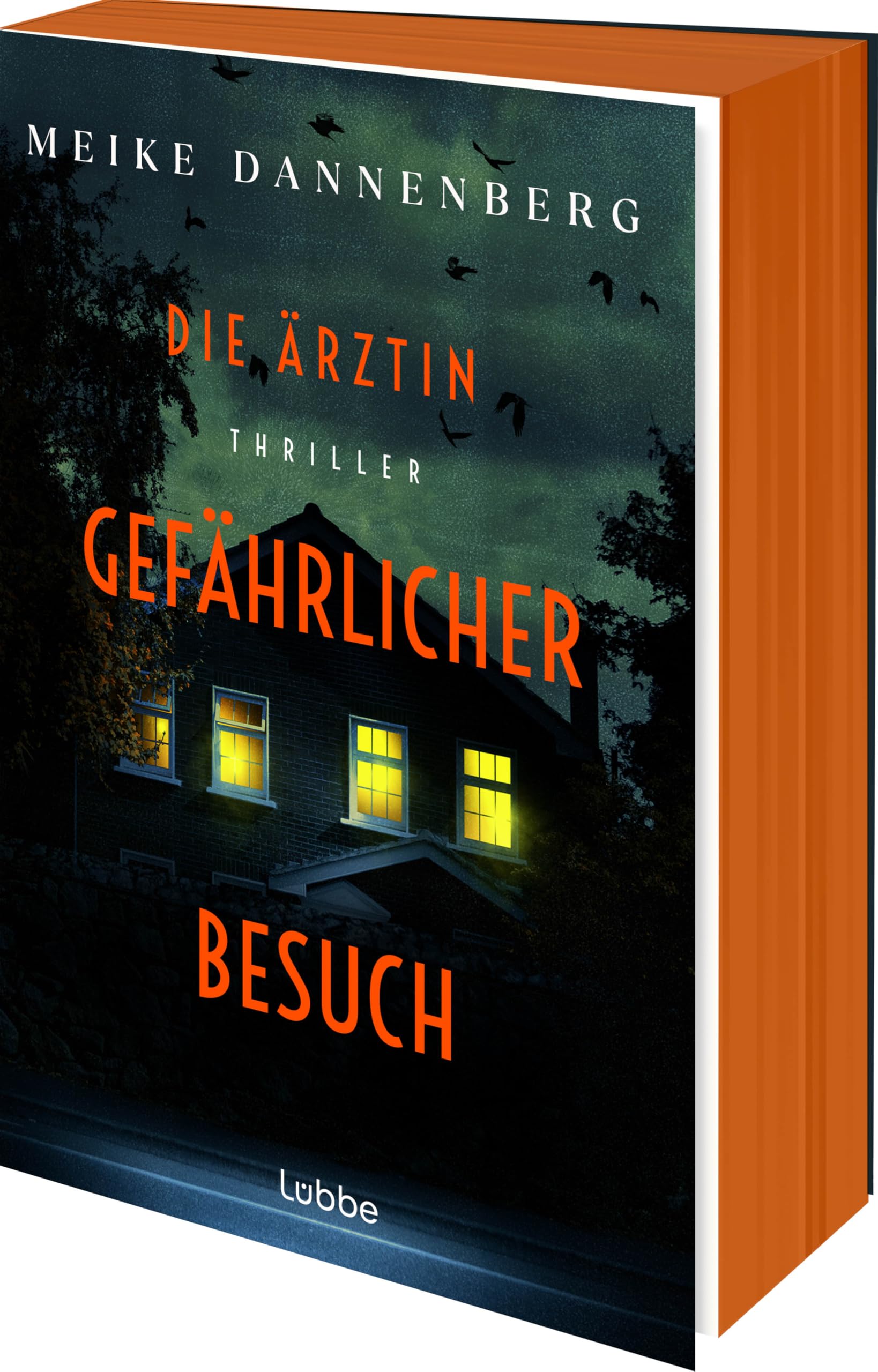 Die Ärztin - Gefährlicher Besuch: | Psychothriller aus Bremen | Dr. Eva Mares gerät in ihrem zweiten Fall in ein Netz aus Angst, Gewalt und tödlichen Geheimnissen