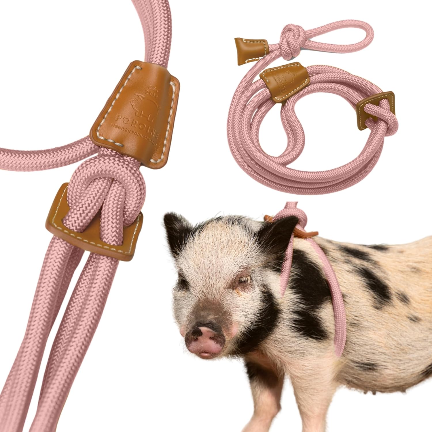 Mini Pig Harness & Leash (Small) Fully Adjustable