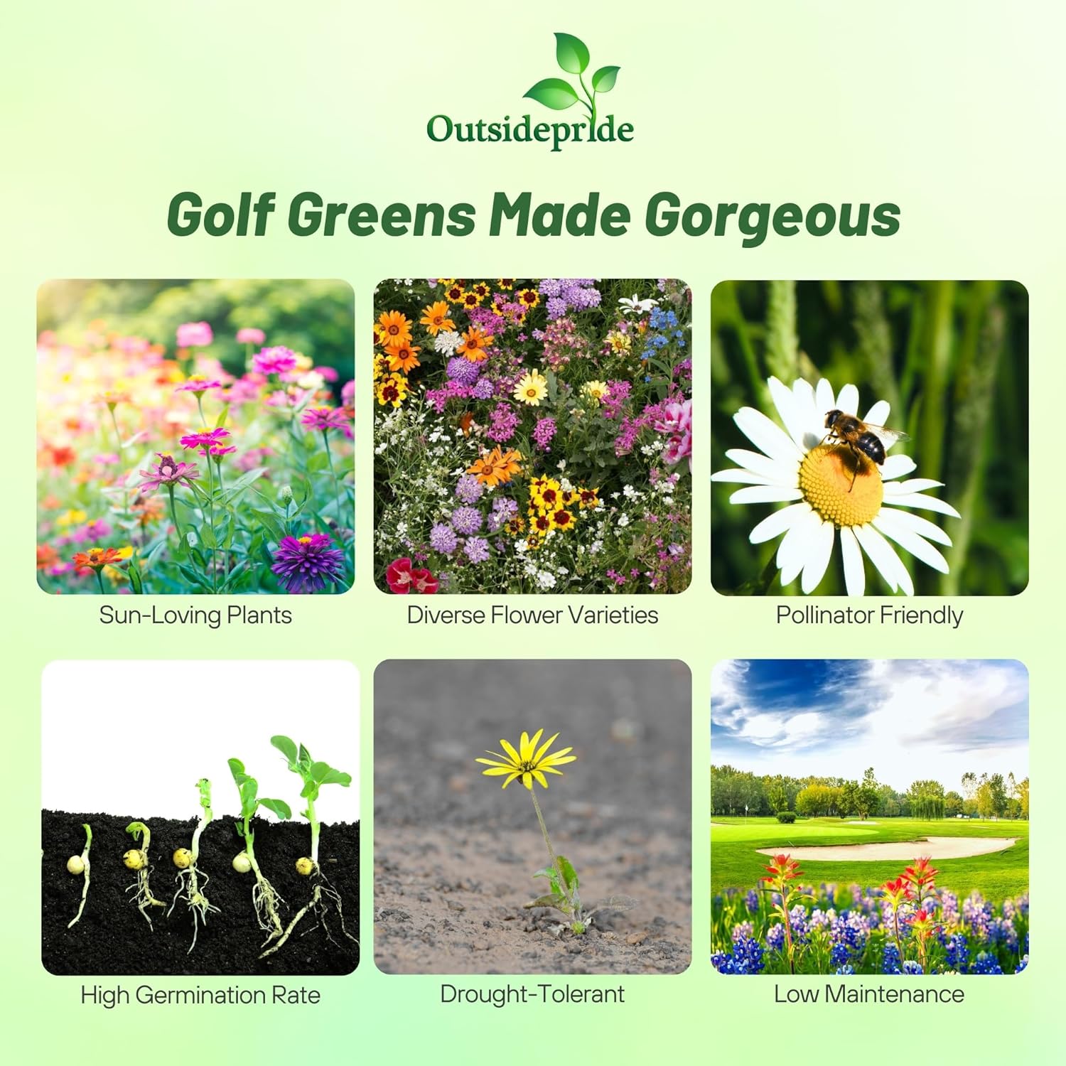 Outsidepride Golf Course Wildflower Seed Mix - 1 lb Premium Blend of Annual Wildflower Seeds for All States - Ideal for Flower Beds, Putting Greens, Tees, Ponds, Lakes in USDA Zones 3-10