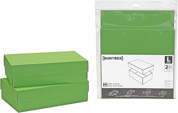 Color Box 1 Box Set of 2 Apple