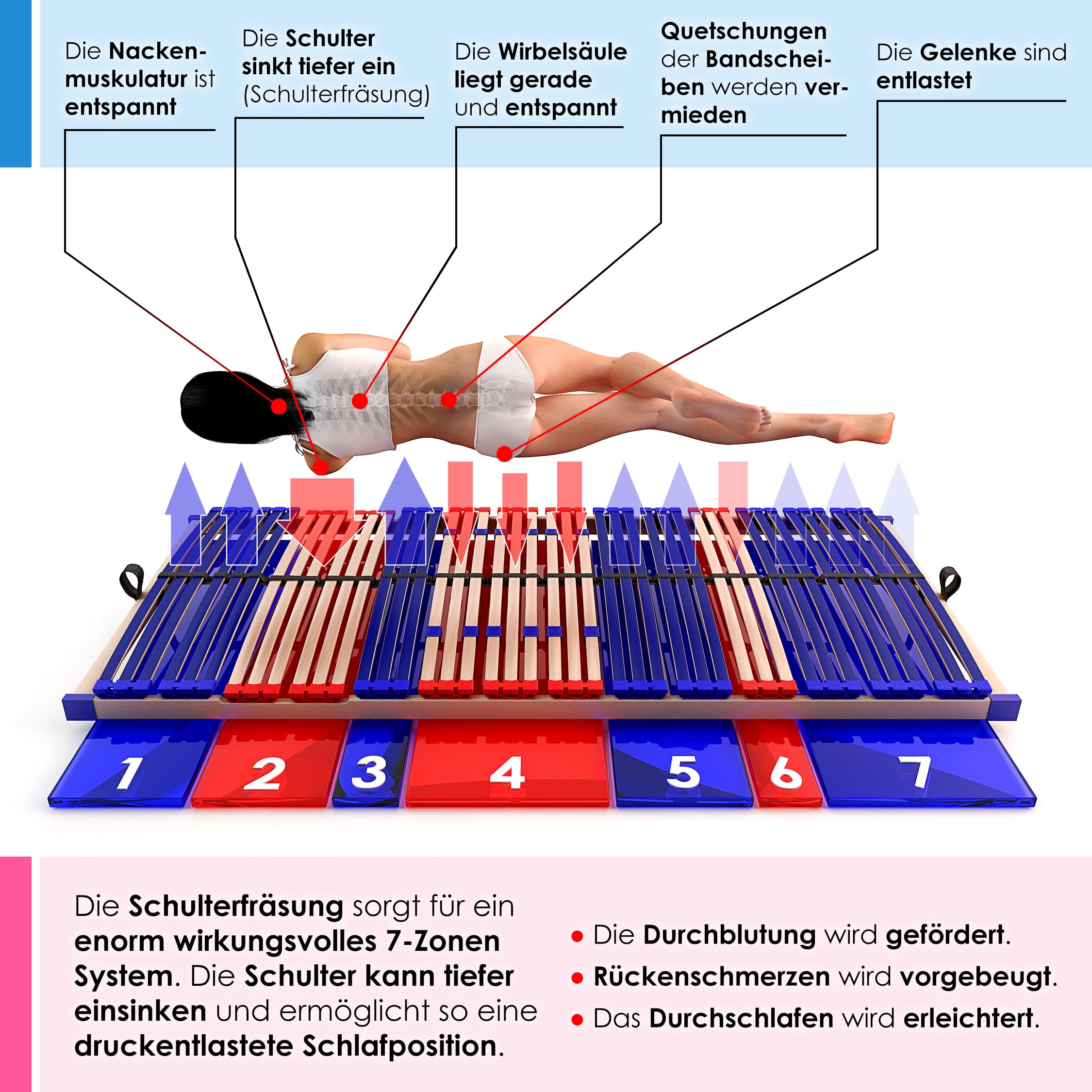 stabiler Lattenrost 100% BUCHE Lattenrahmen - Kopfteil verstellbar - SCHULTERFRÄSUNG, 7 Zonen, 42 Federleisten, Härte-Regulierung, Mittelgurt - VARIO SLEEP BEST 42® unmontiert (90x200cm)