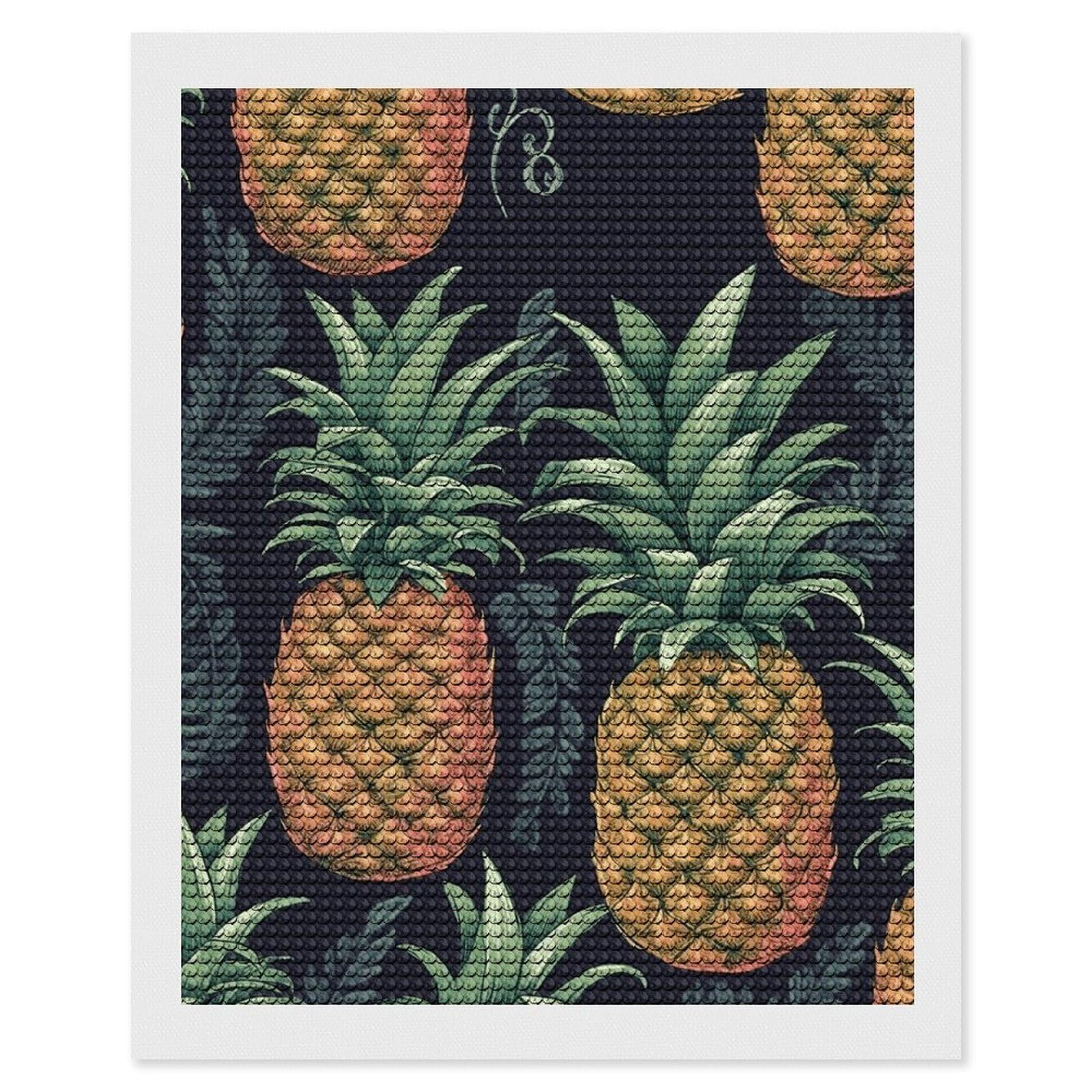 NONHAI Diamond Painting Kits for Adults - DIY Diamond Art Kits for Beginners - Full 5D Paint Drill Diamond Dots Paintings- Pineapple Diamonds Pictures Gem Art and Craft Wall Decor 16"x20"