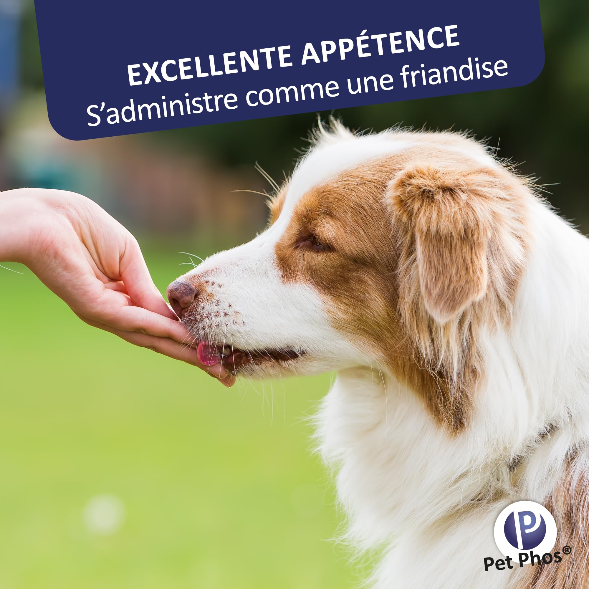 Pet-Phos Canin Croissance Ca/P=2-1 Boite de 100 comprimes complement Croissance