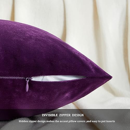 Vista 105 de GIGIZAZA - Juego de 2 fundas de almohada decorativas de 18 x 18 pulgadas, fundas de almohada cuadradas de terciopelo verde azulado pavo real