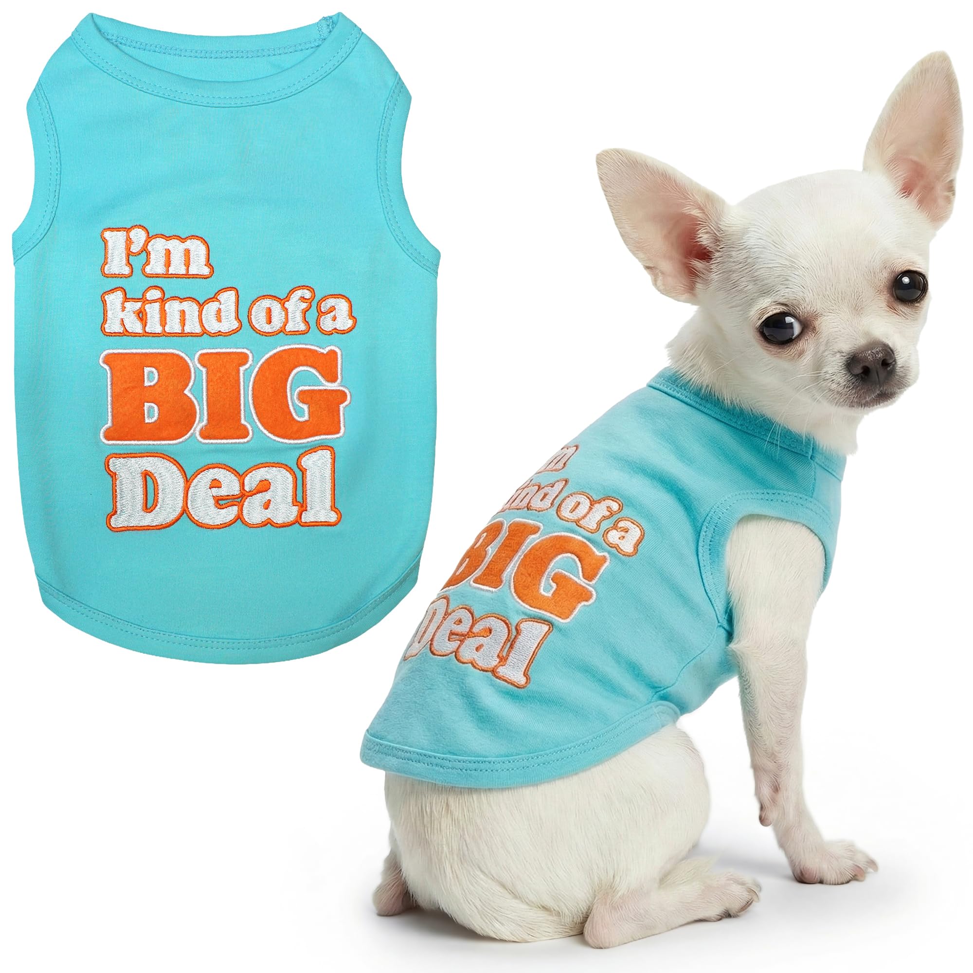 T-shirt Big Deal animal domestique pour les promenades urbaines en XXS