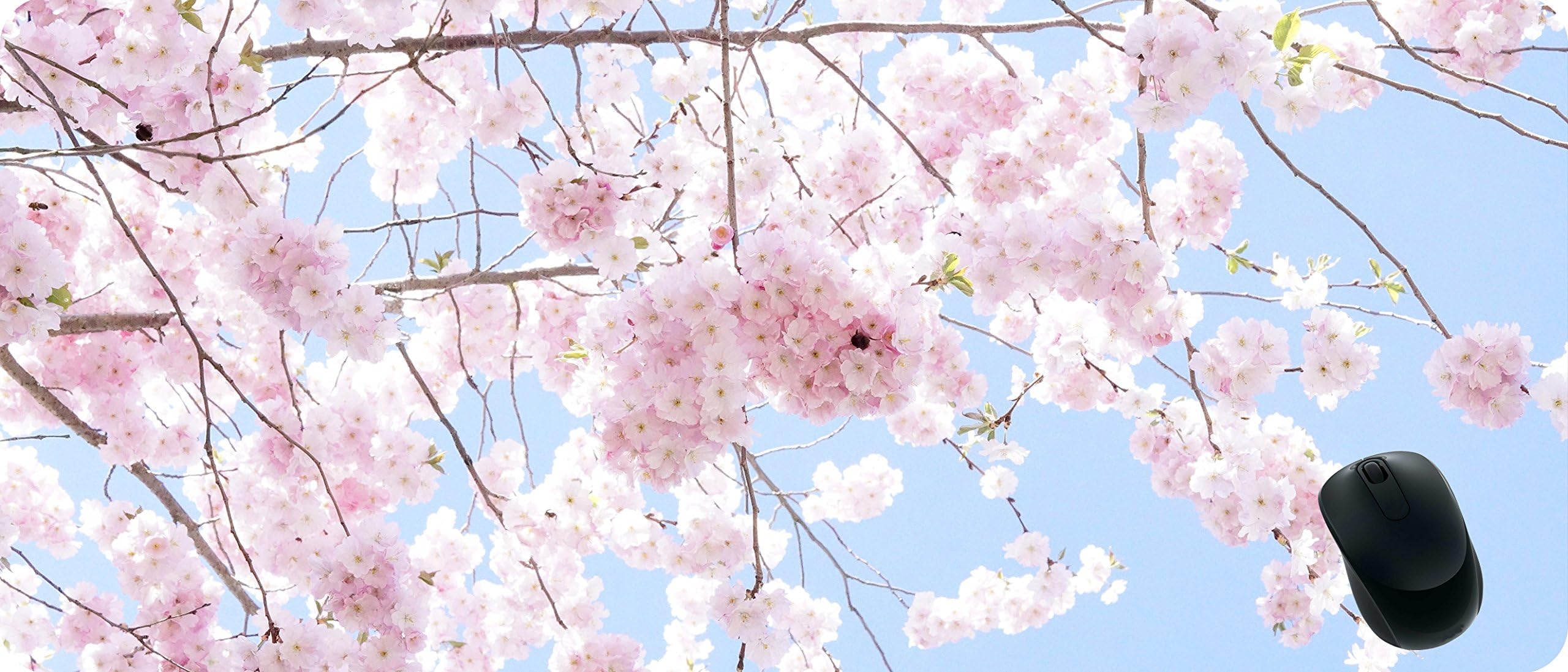 BCQLI Increase The Extension and Widening of The Game Mouse Pad,Cherry Blossoms