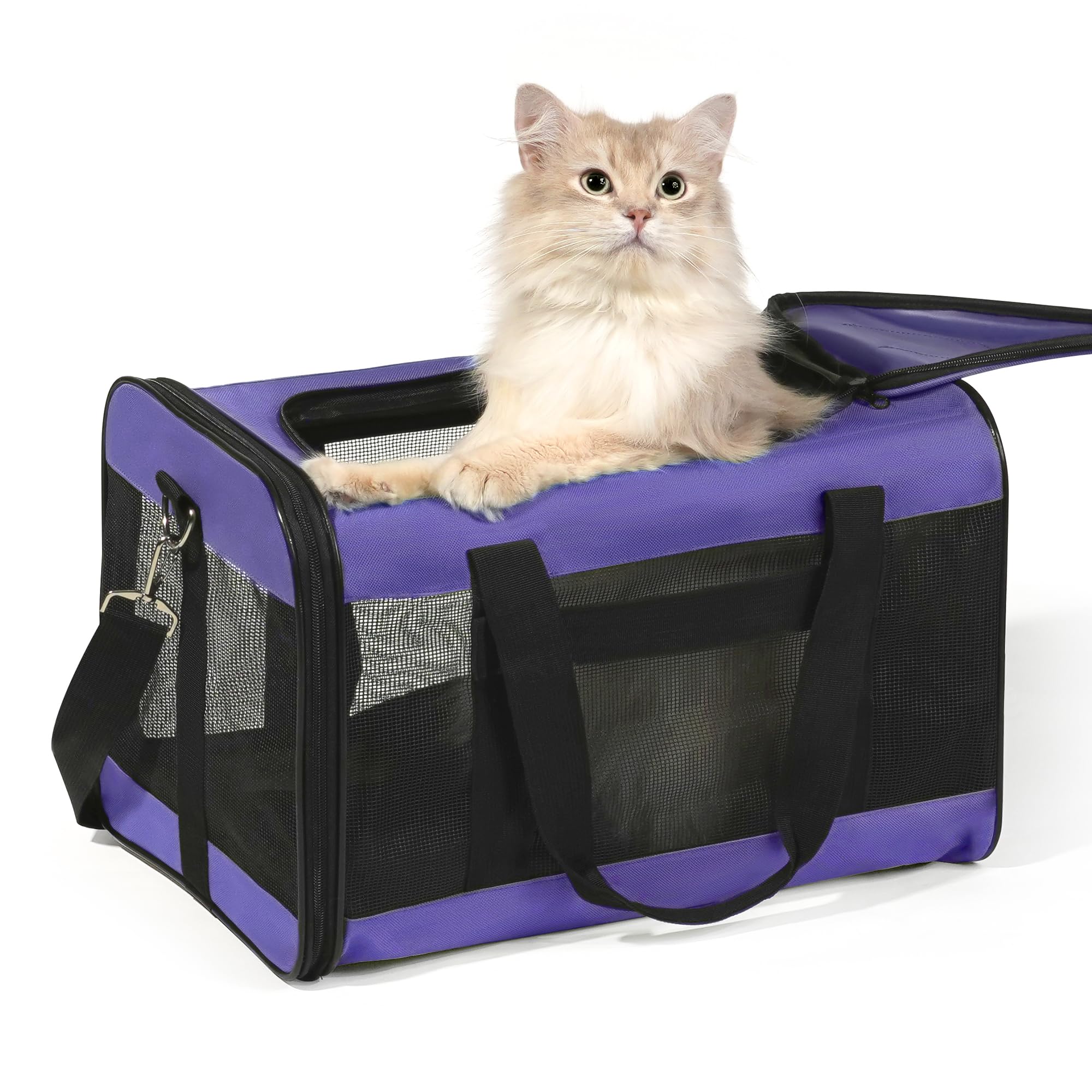 Hitchy Sac De Transport Chat/Sac De Transport Chien pour Chats, Petits Chiens, Chatons Ou Chiots, Souple et Pliable avec Tapis en Laine pour Voyage en Voiture et Train Violet (M)