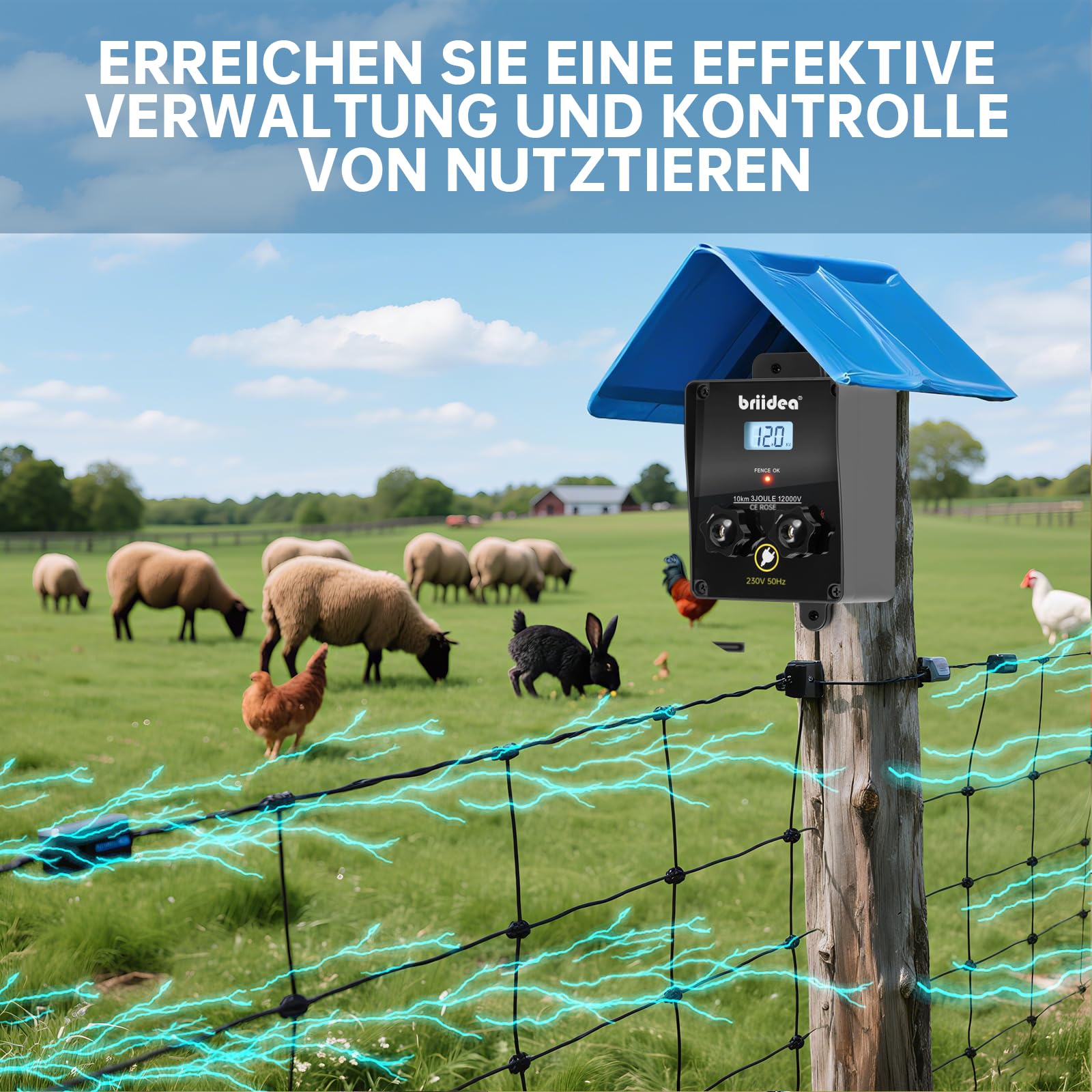Briidea 12.000 V 3 Joule, caricatore elettrico per recinzione, portata 10 km, protezione sicura ed efficace degli animali da fattoria, giardino e pascolo