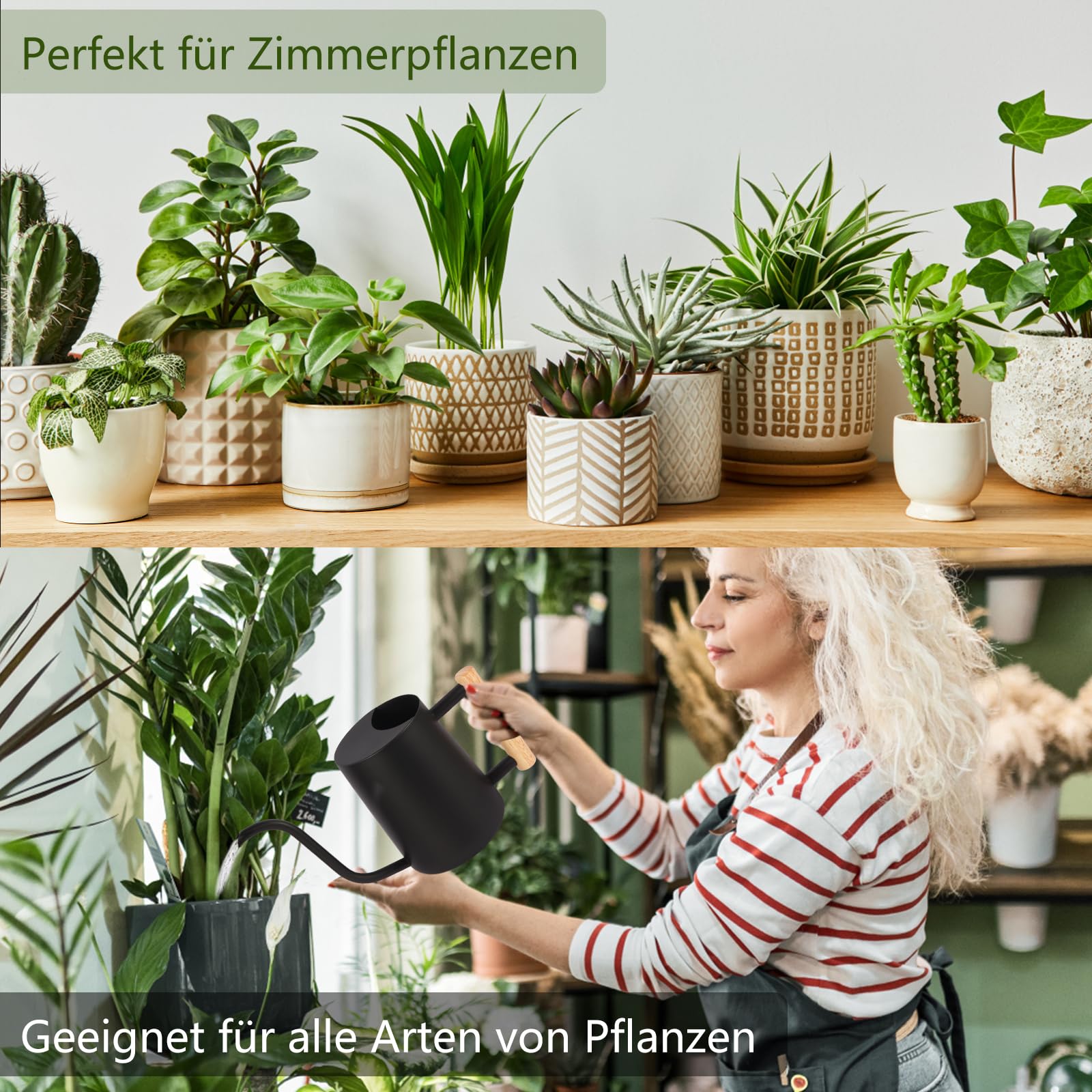 Annaffiatoio per piante da interno, 1 l, piccolo annaffiatoio per interni, in metallo, in acciaio inox, moderno, con beccuccio lungo, per casa, piante, bonsai all'aperto, fiori (nero)