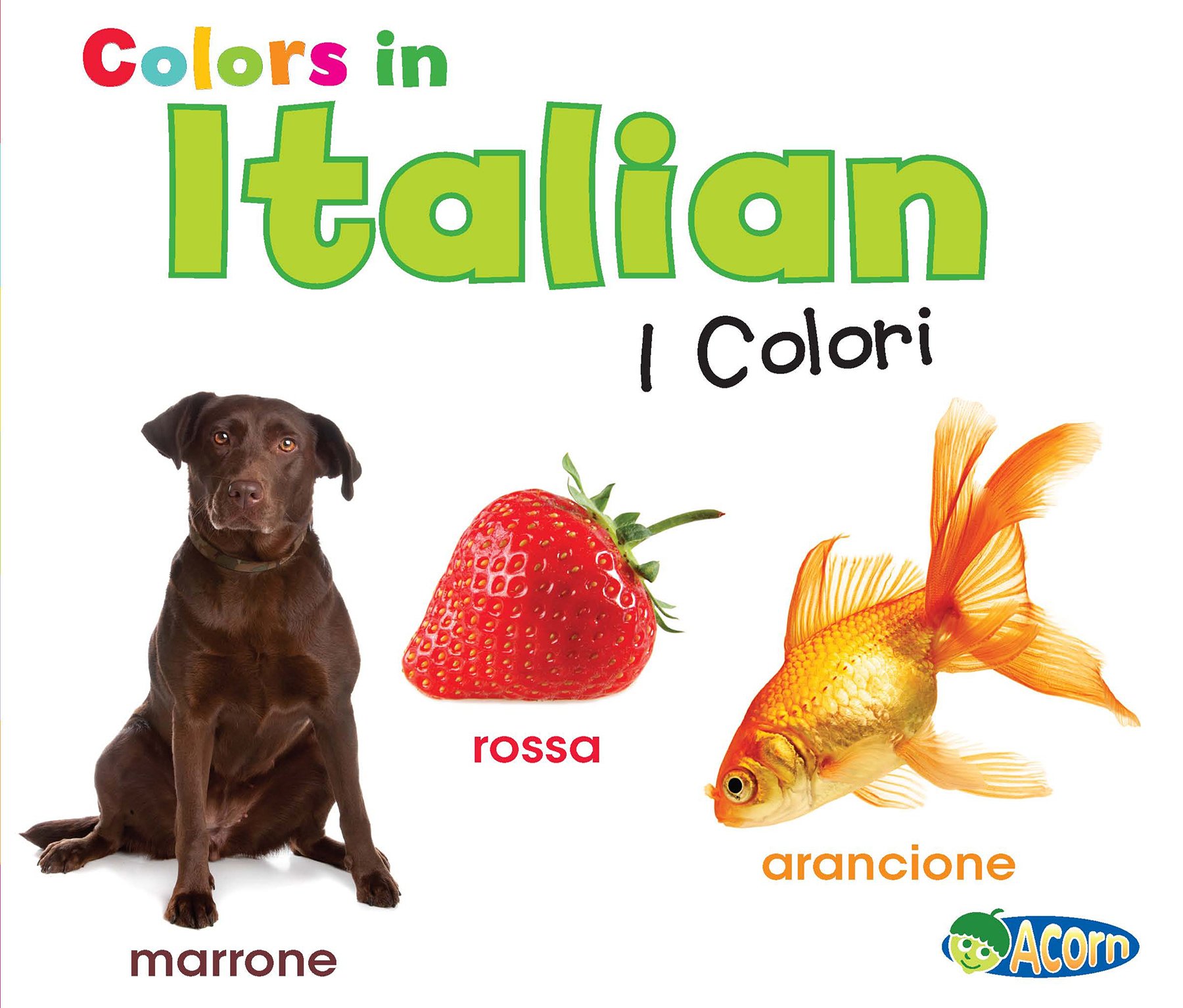 Colors in Italian: I Colori (World Languages - Colors)